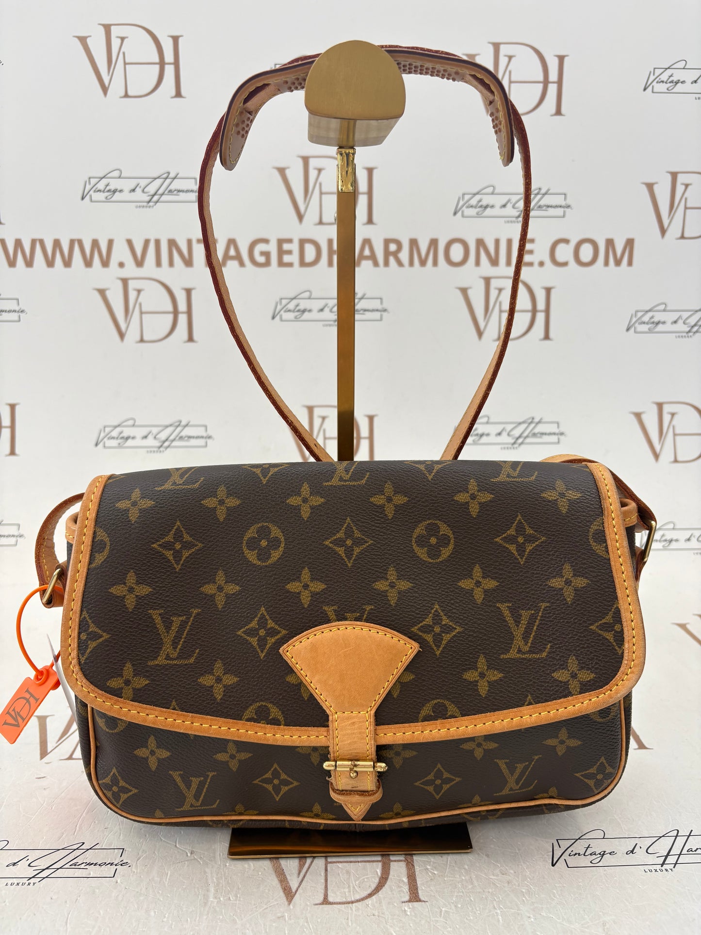 018585 - Louis Vuitton Sologne