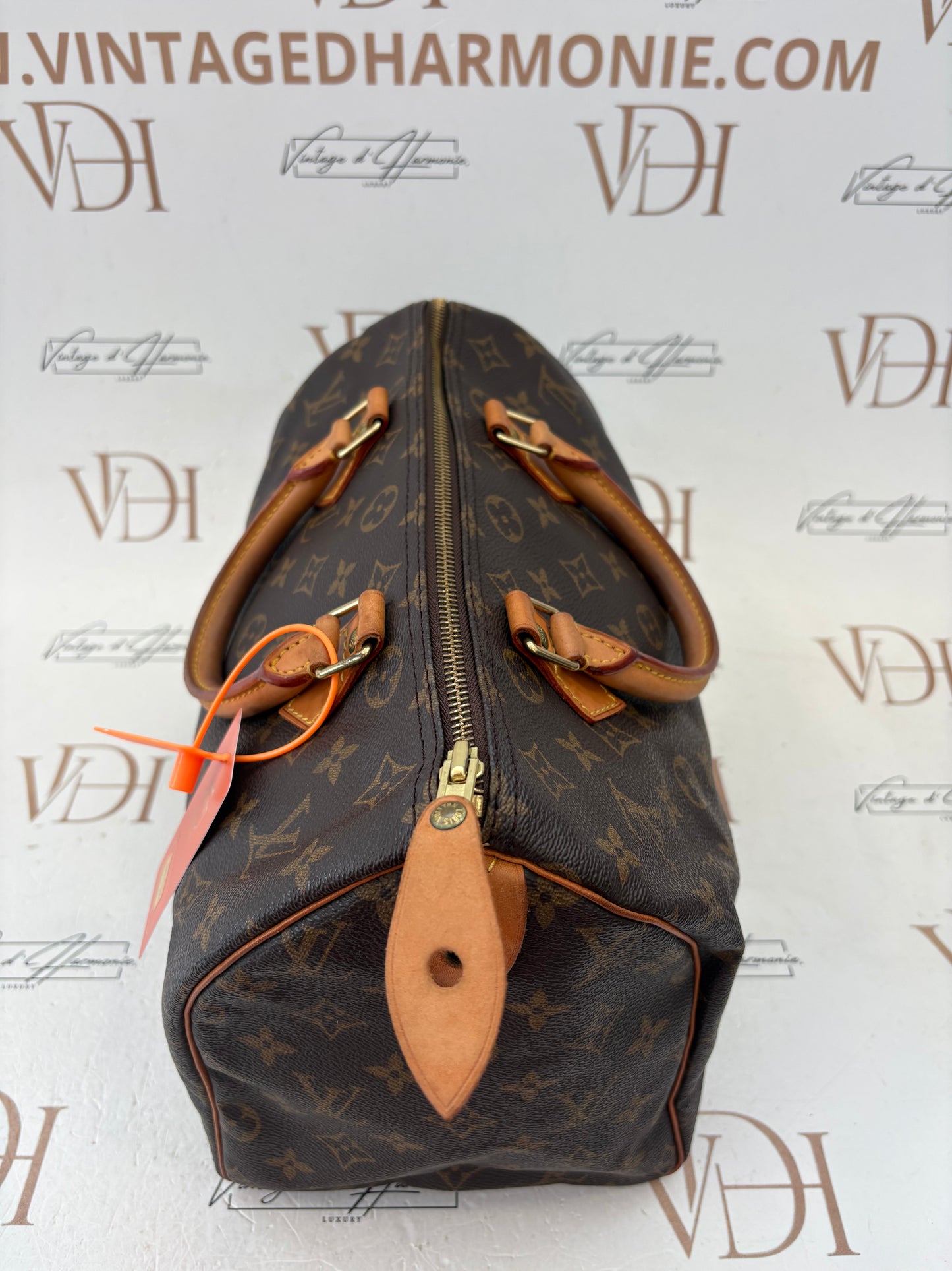 201793 - Louis Vuitton Speedy 30