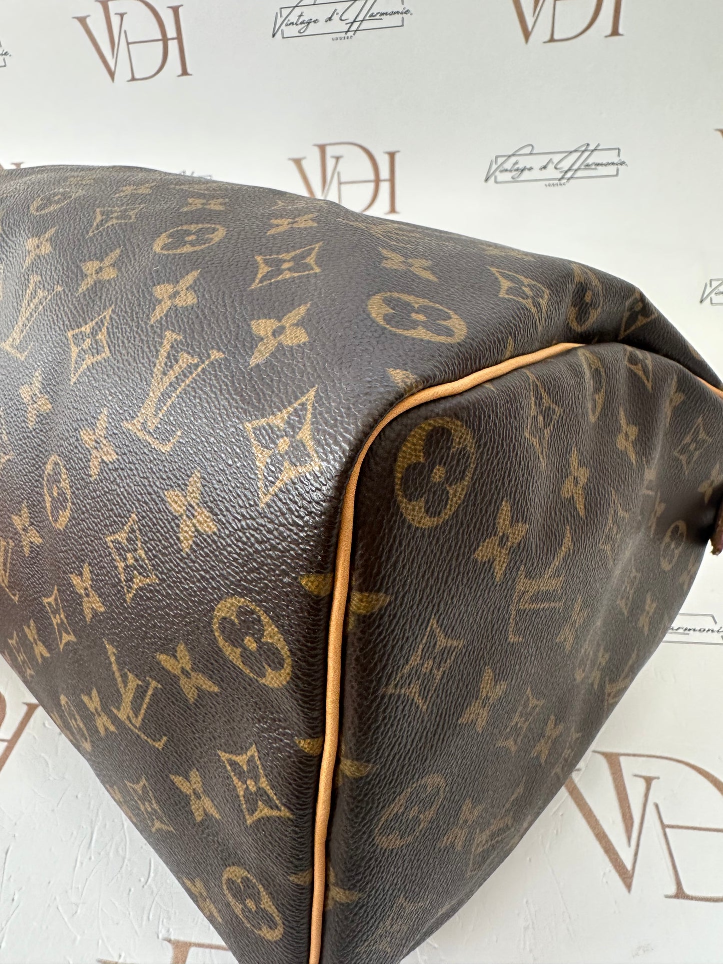 017882 - Louis Vuitton Speedy 35