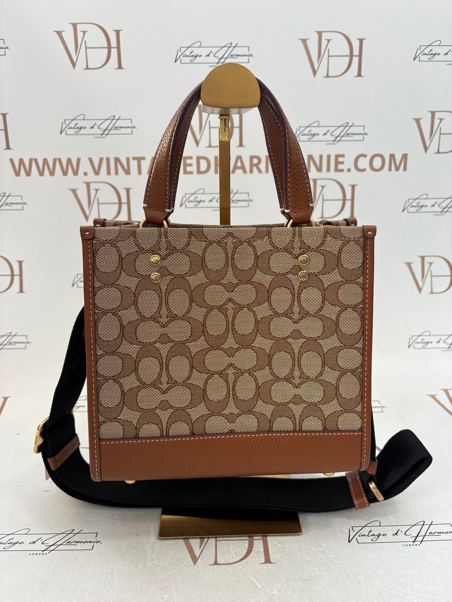 382695 - Coach Disney