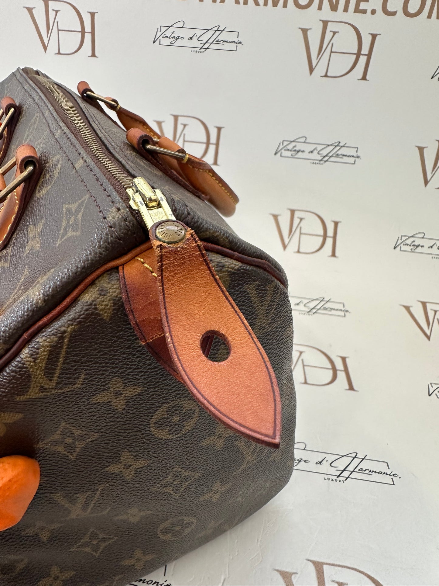 016863 - Louis Vuitton Speedy 30