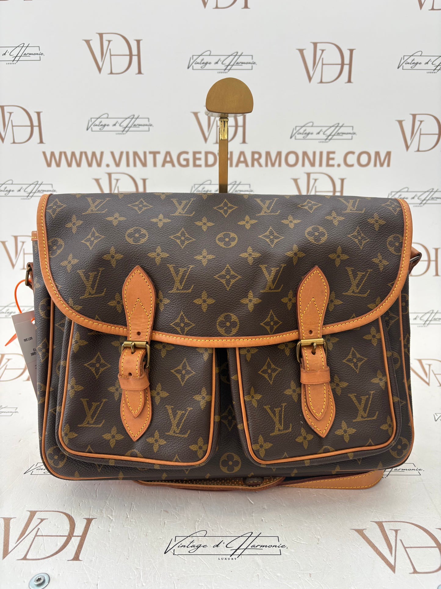 018966 - Louis Vuitton Gibeciere