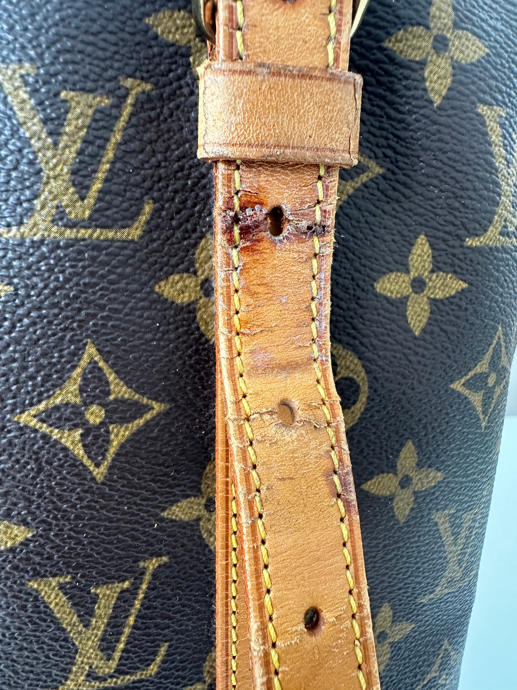 Louis Vuitton Bucket GM