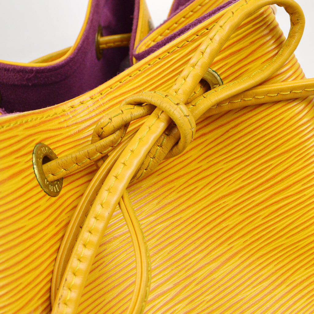 Louis Vuitton Petite Noè Epi