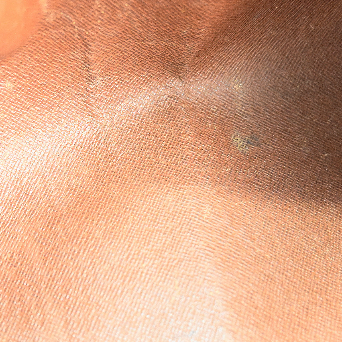 Louis Vuitton Papillon 26