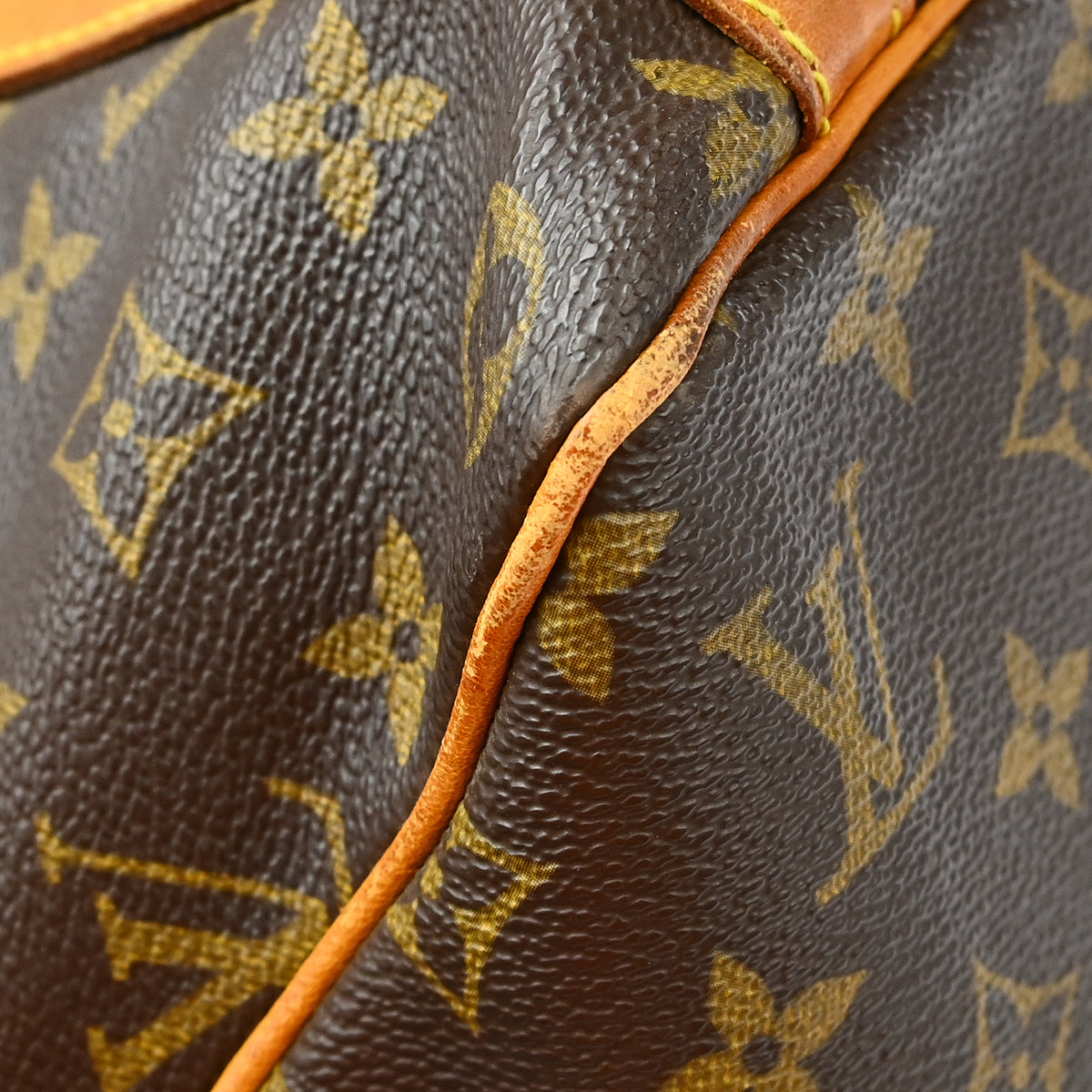 Louis Vuitton Sac Shopping