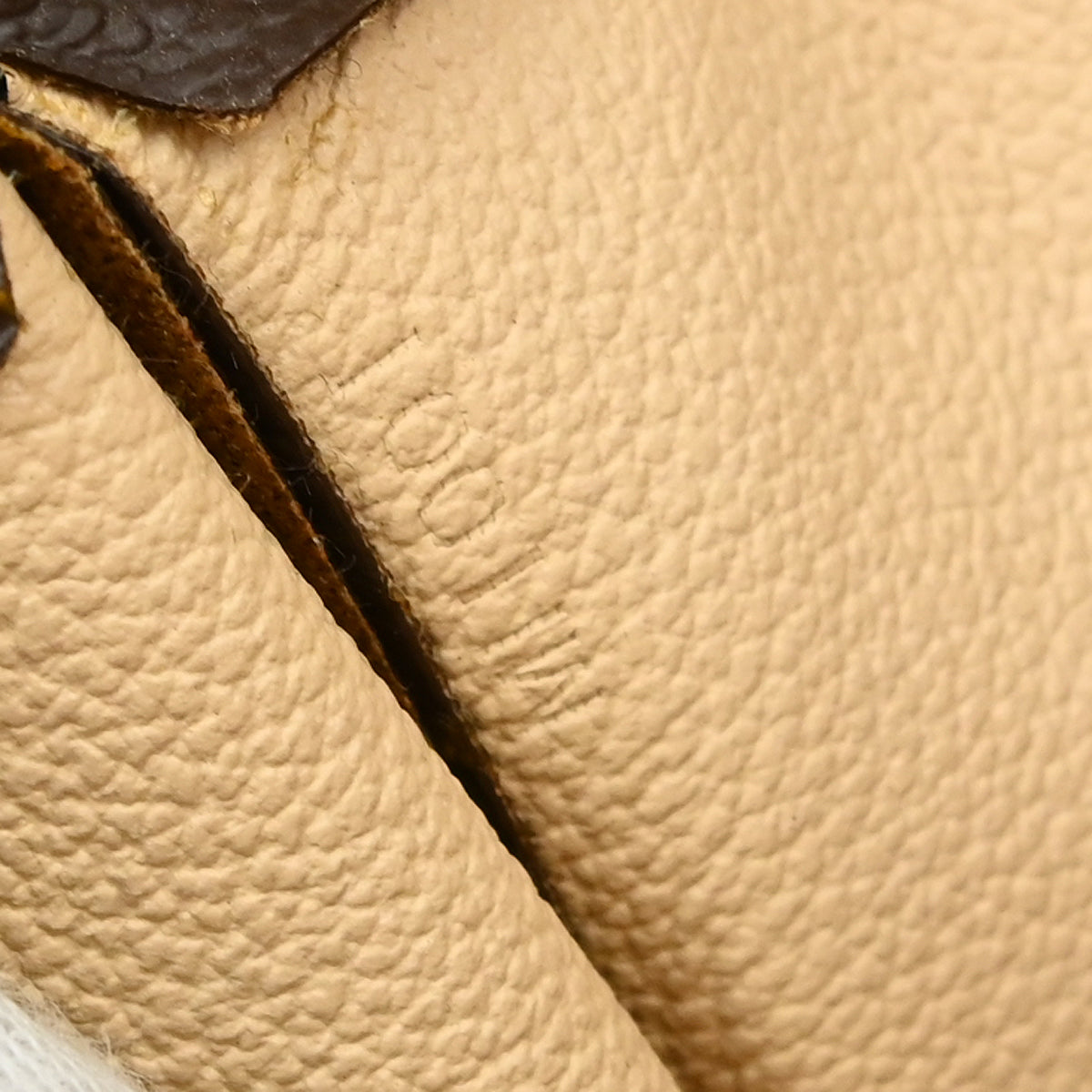 Louis Vuitton Sac Plat