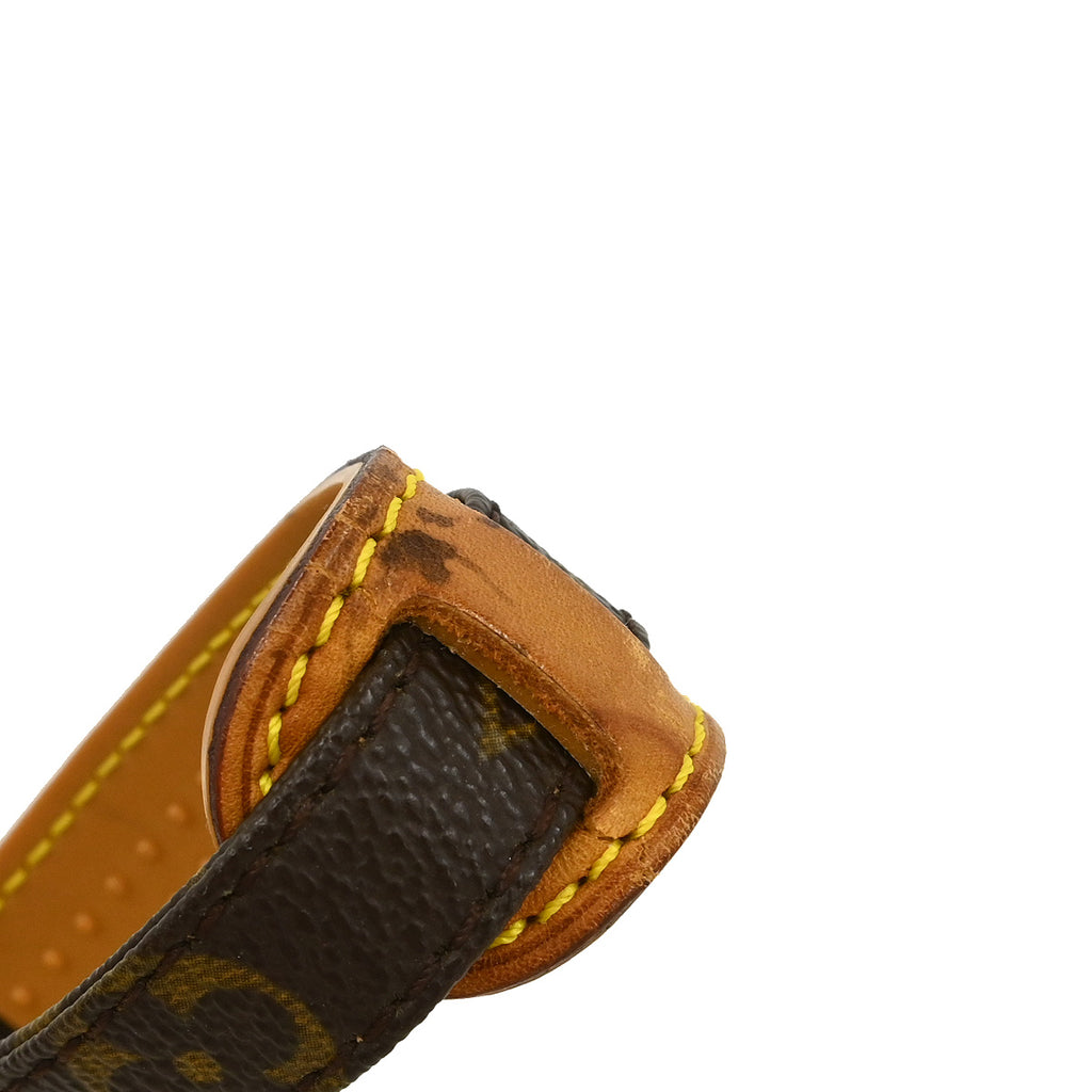 Louis Vuitton Danube