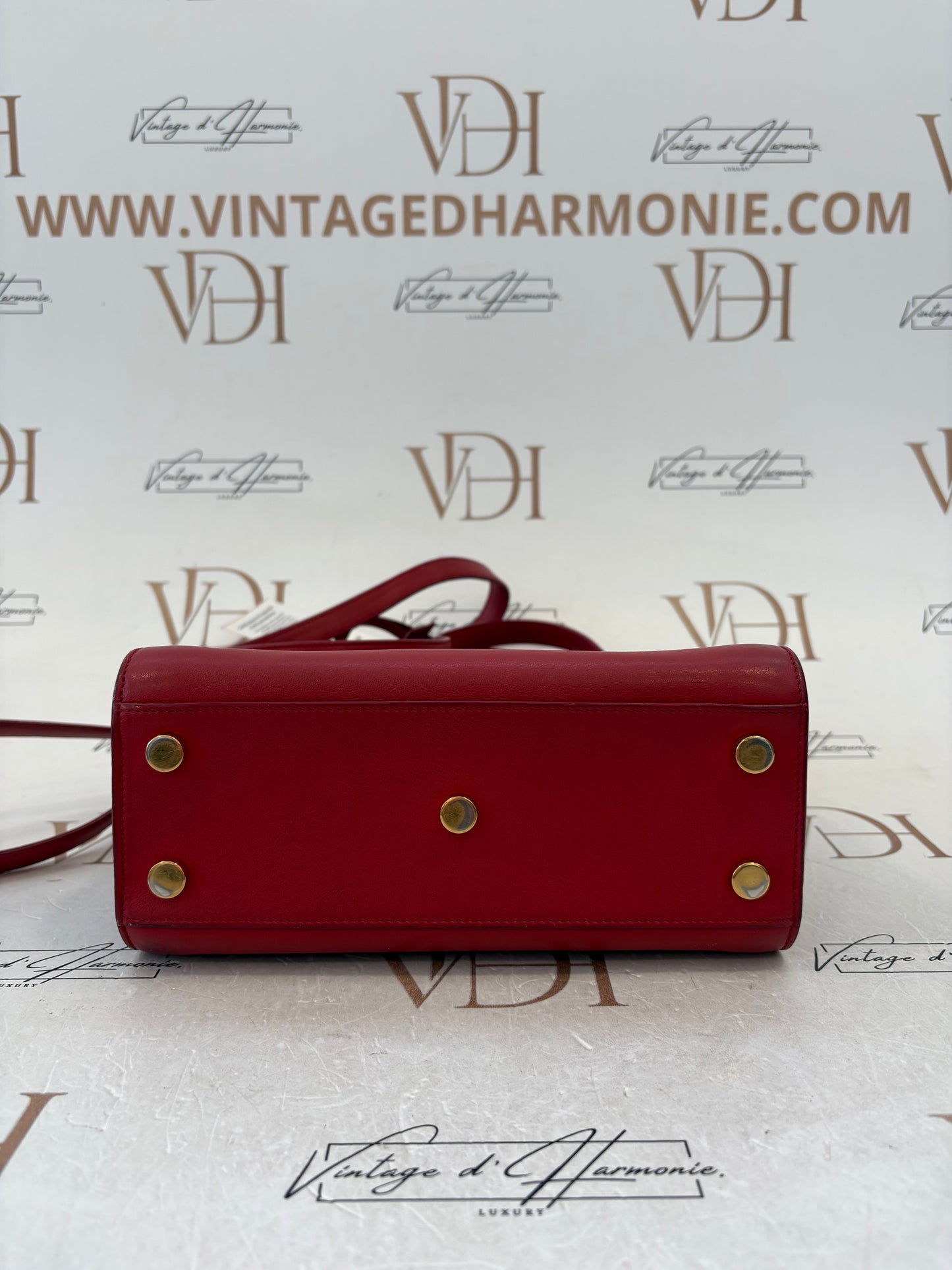 018999 - Saint Laurent Red Sac De Jour