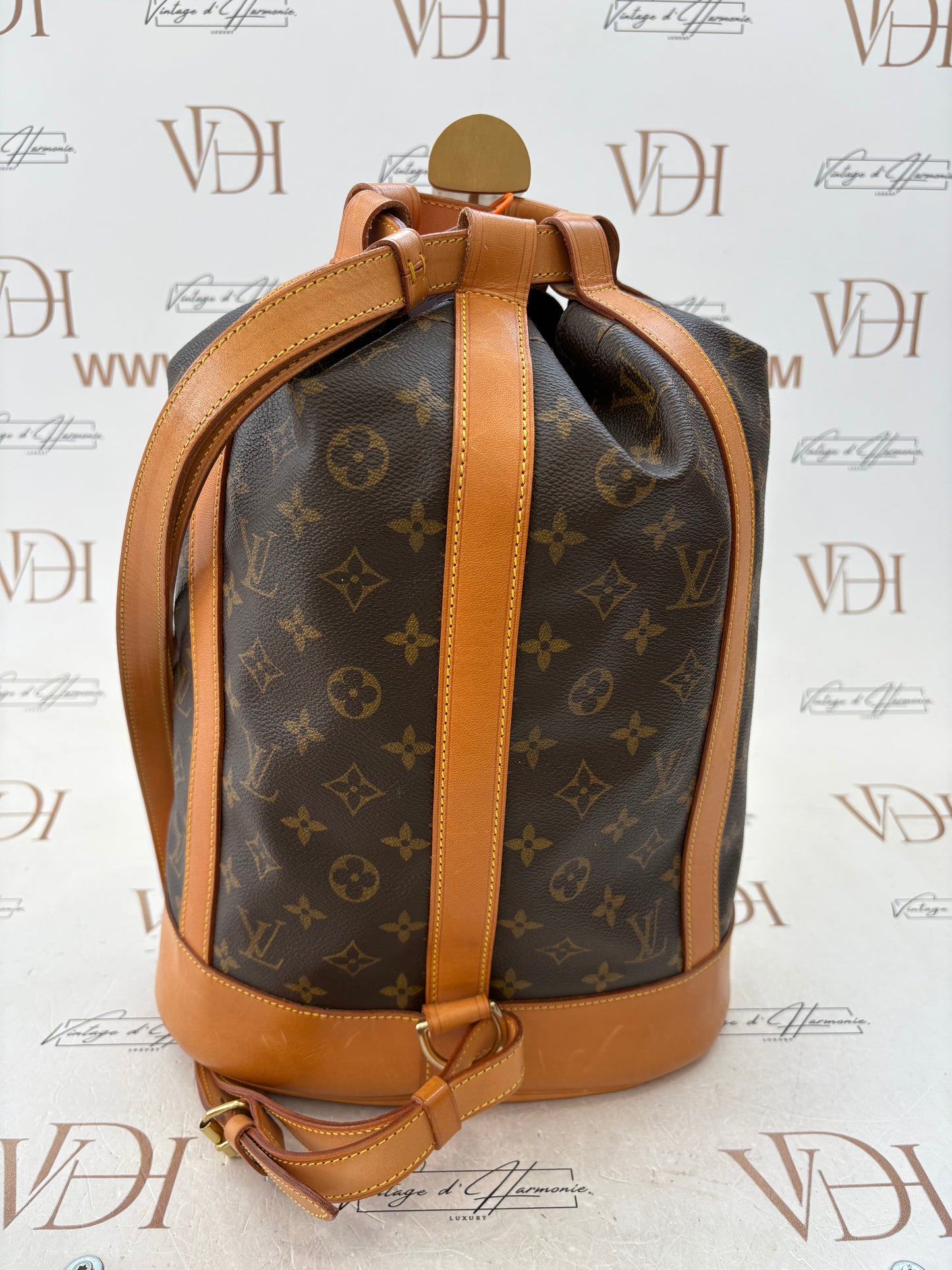 018345 - Louis Vuitton Randonne PM