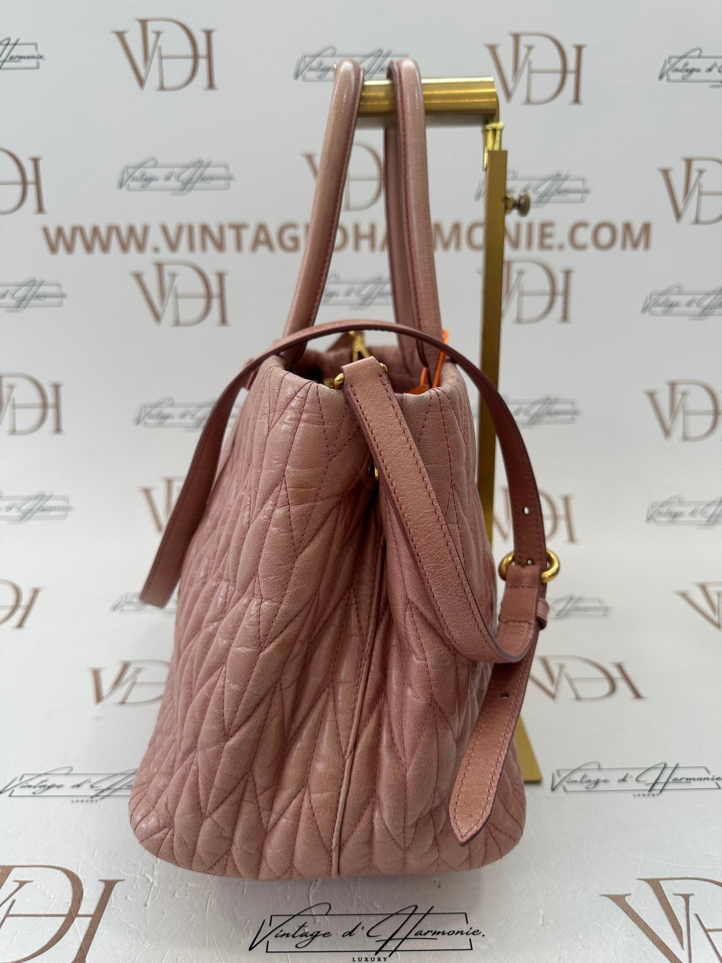 102195 - Miu Miu Bag