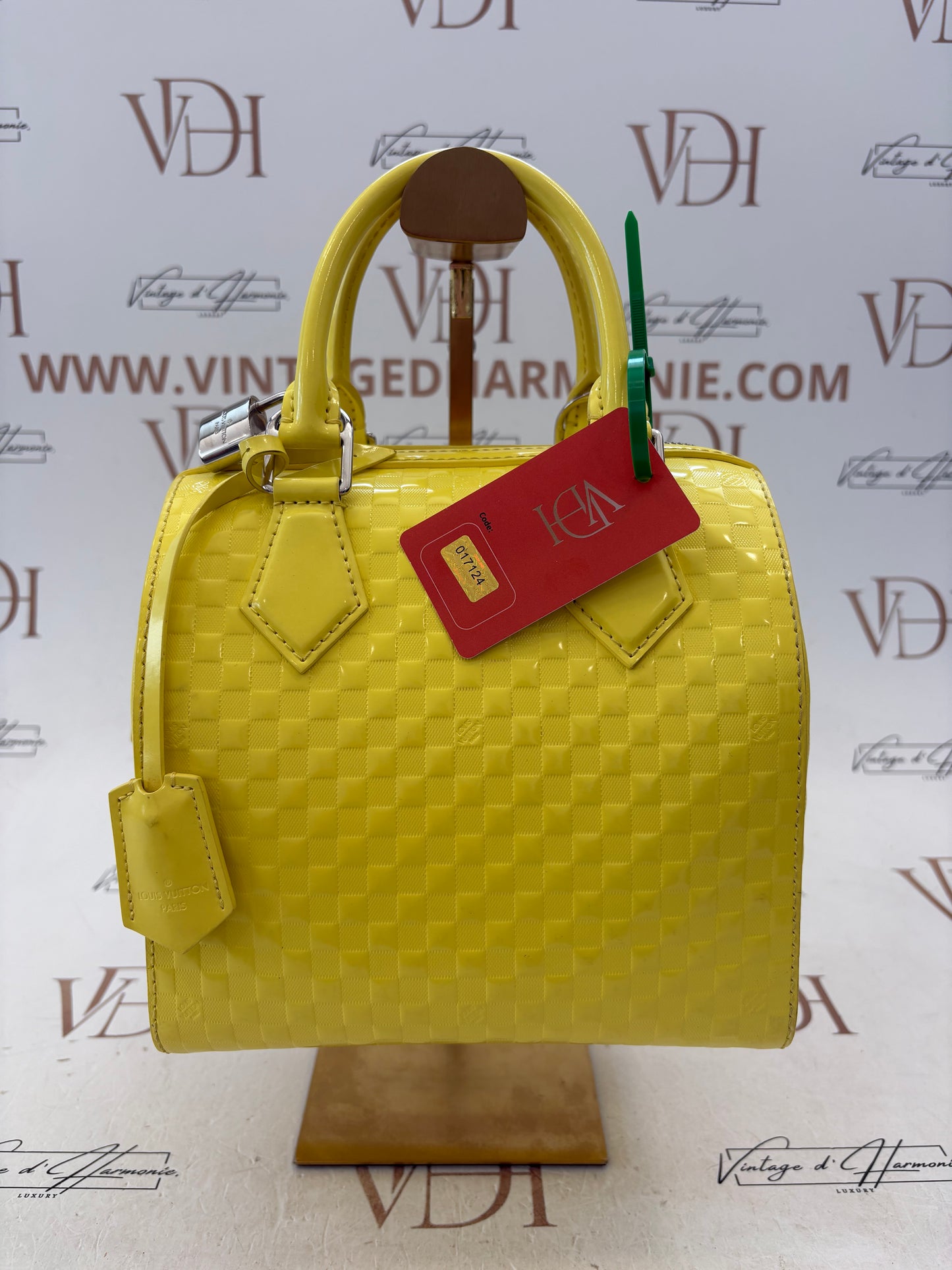 017124 - Louis Vuitton Facet Speedy Cube PM