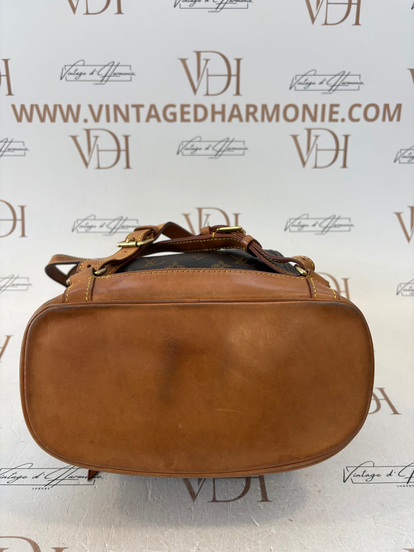 018375 - Louis Vuitton Montsouris MM