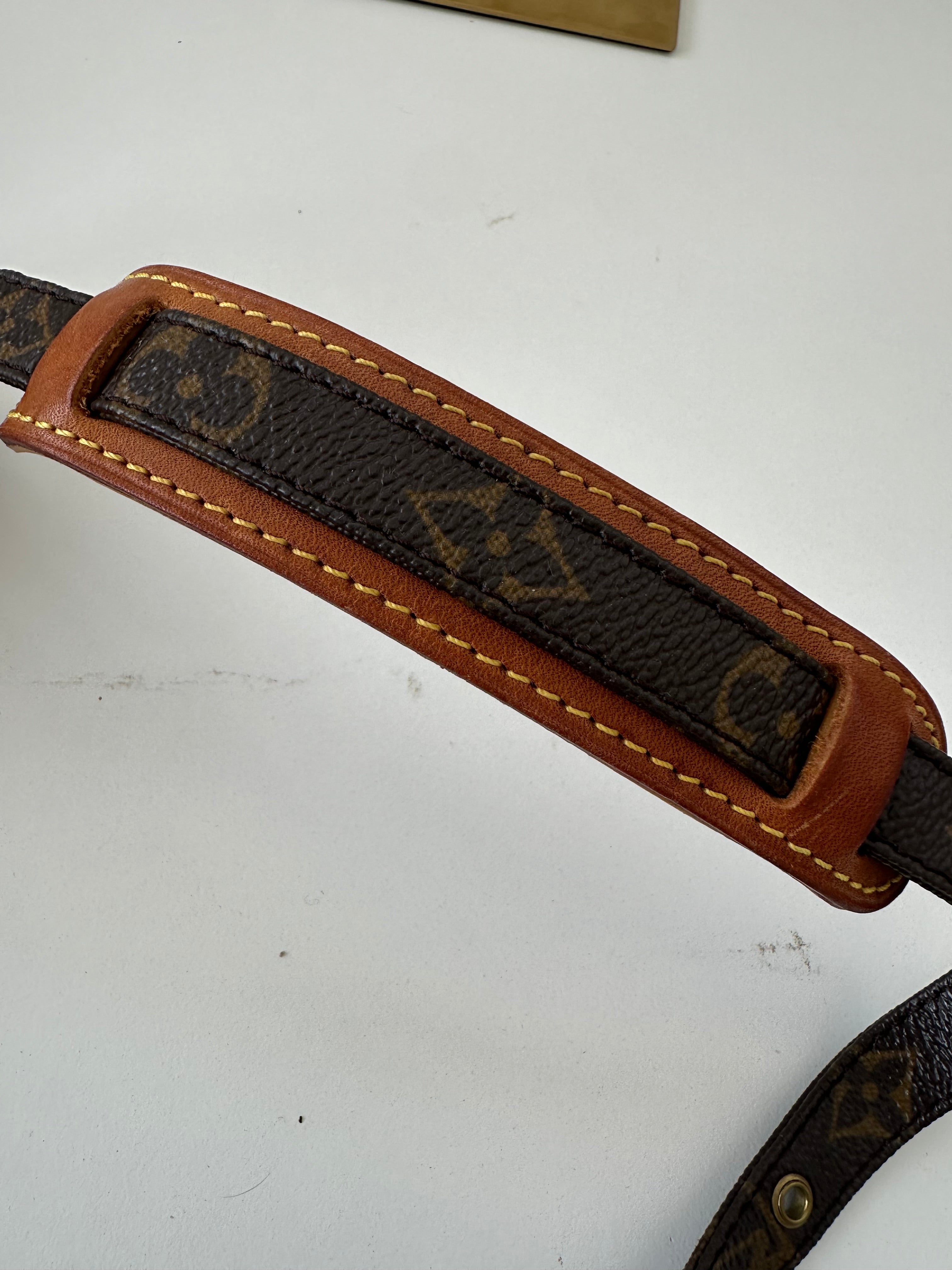 Louis Vuitton Danube