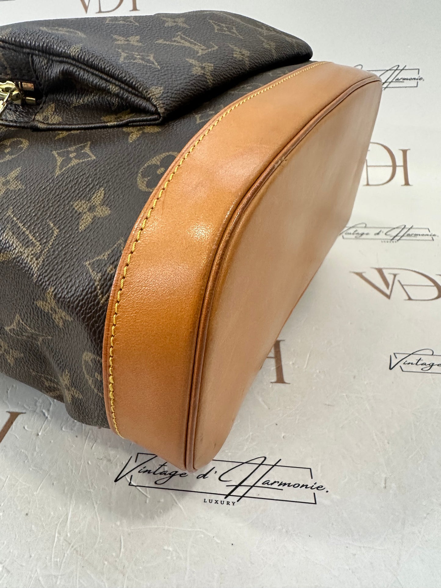 016954 - Louis Vuitton Montsouris GM