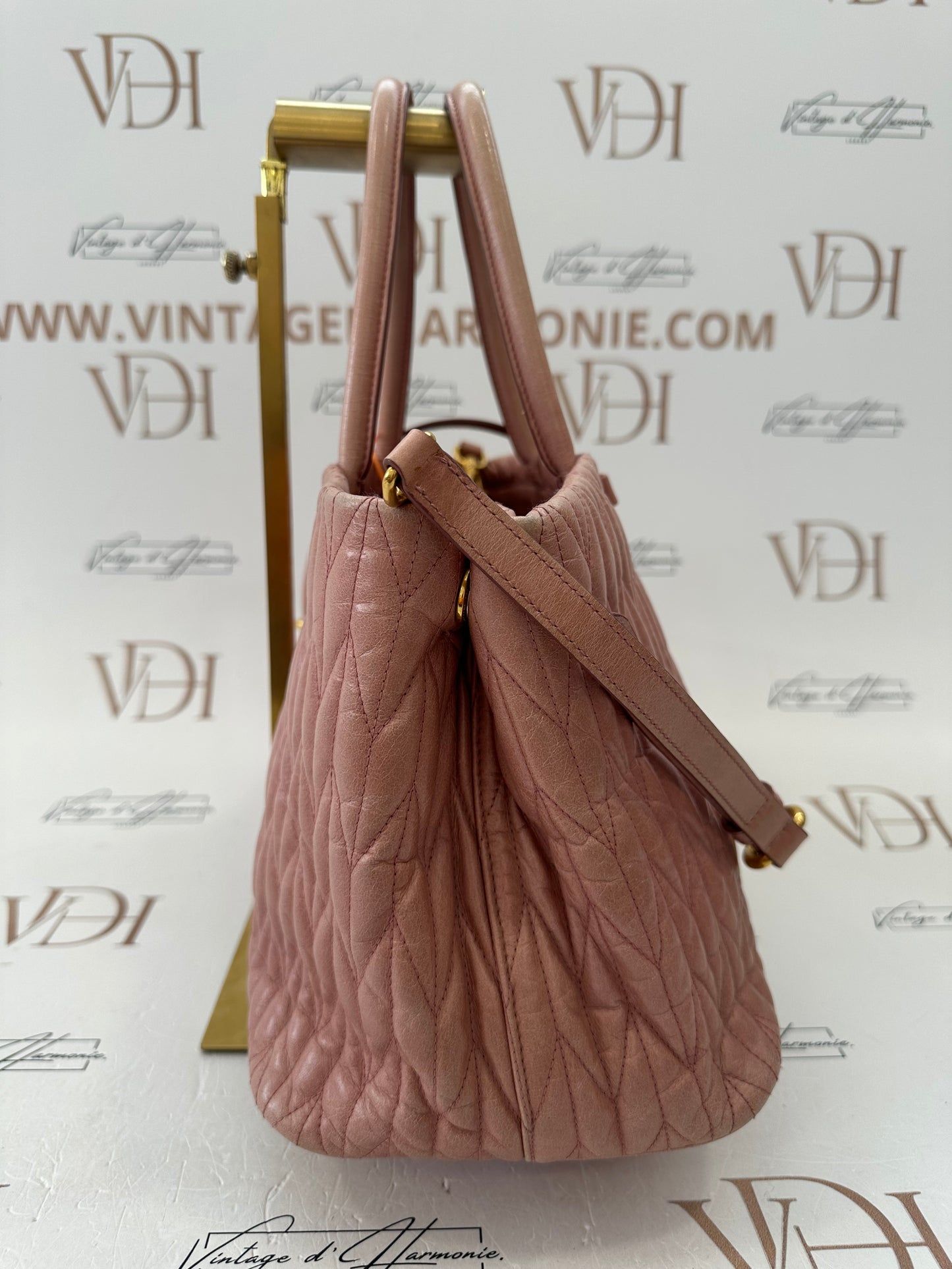 102195 - Miu Miu Bag