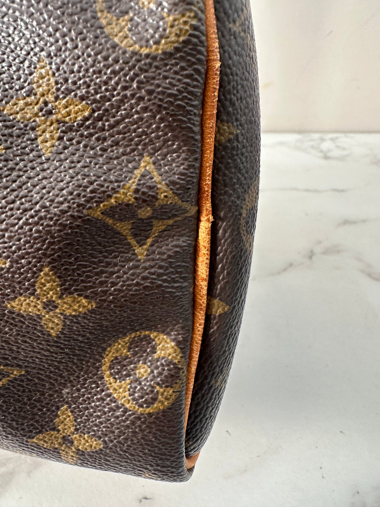 Louis Vuitton Speedy 25