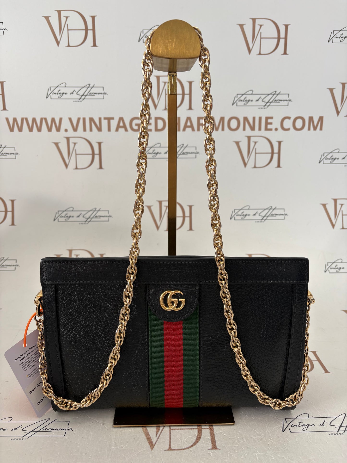 383877 - Gucci Ophidia