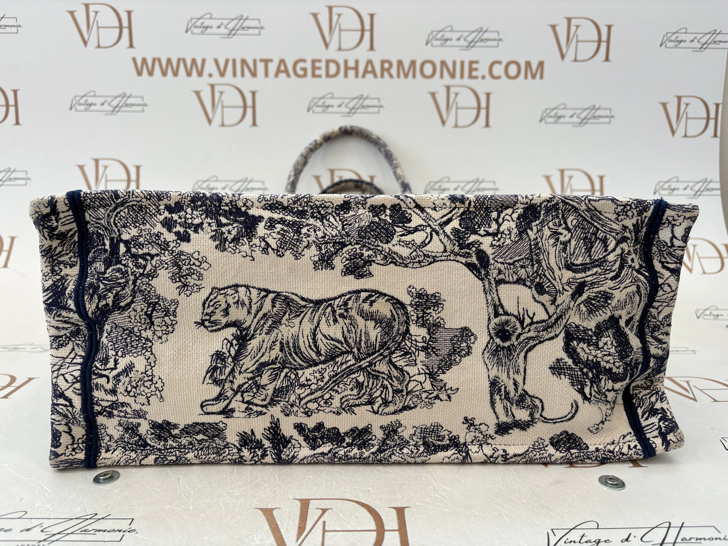 383592 - Dior Book Tote