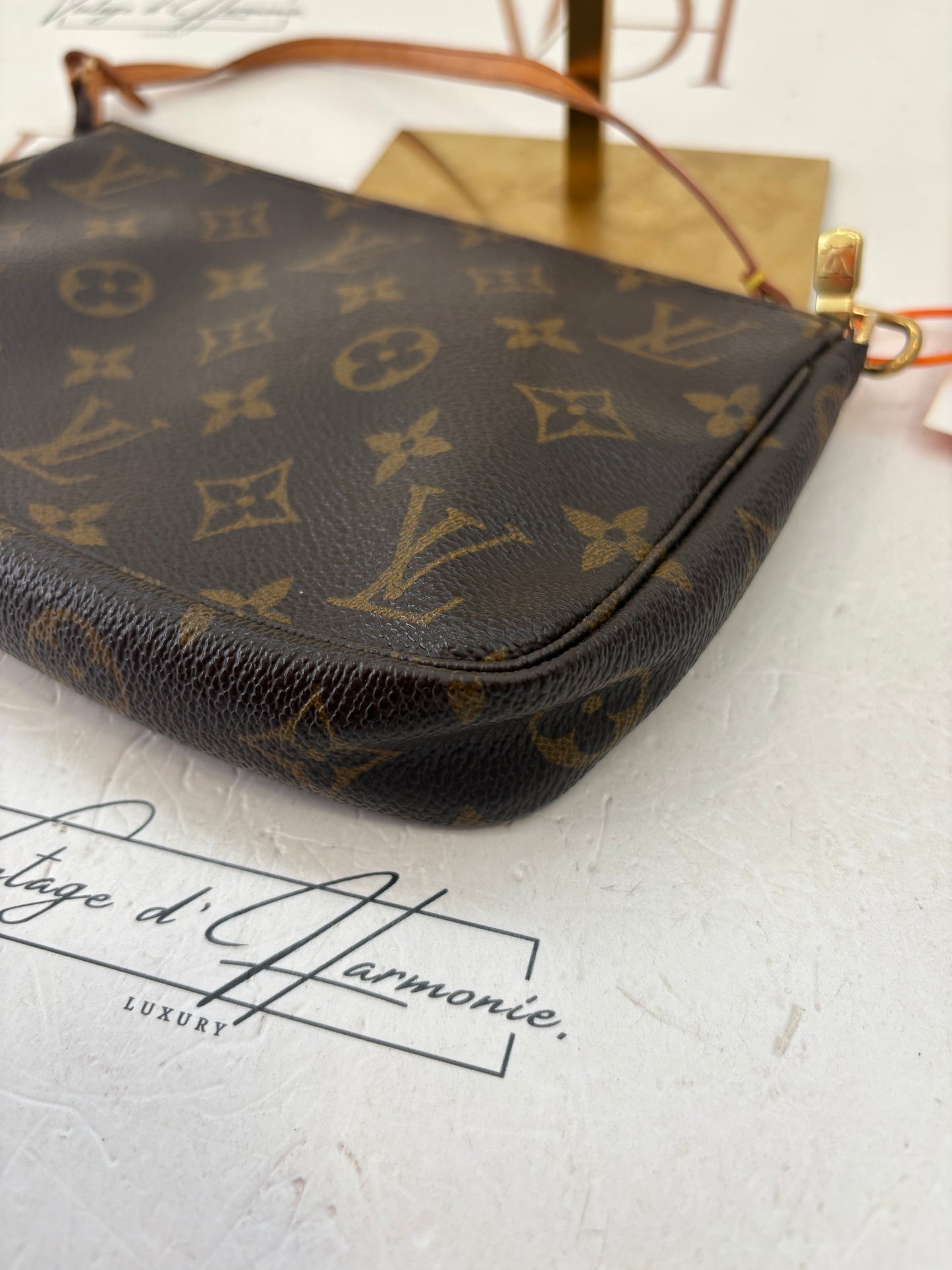 018729 - Louis Vuitton Pochette Accessoires