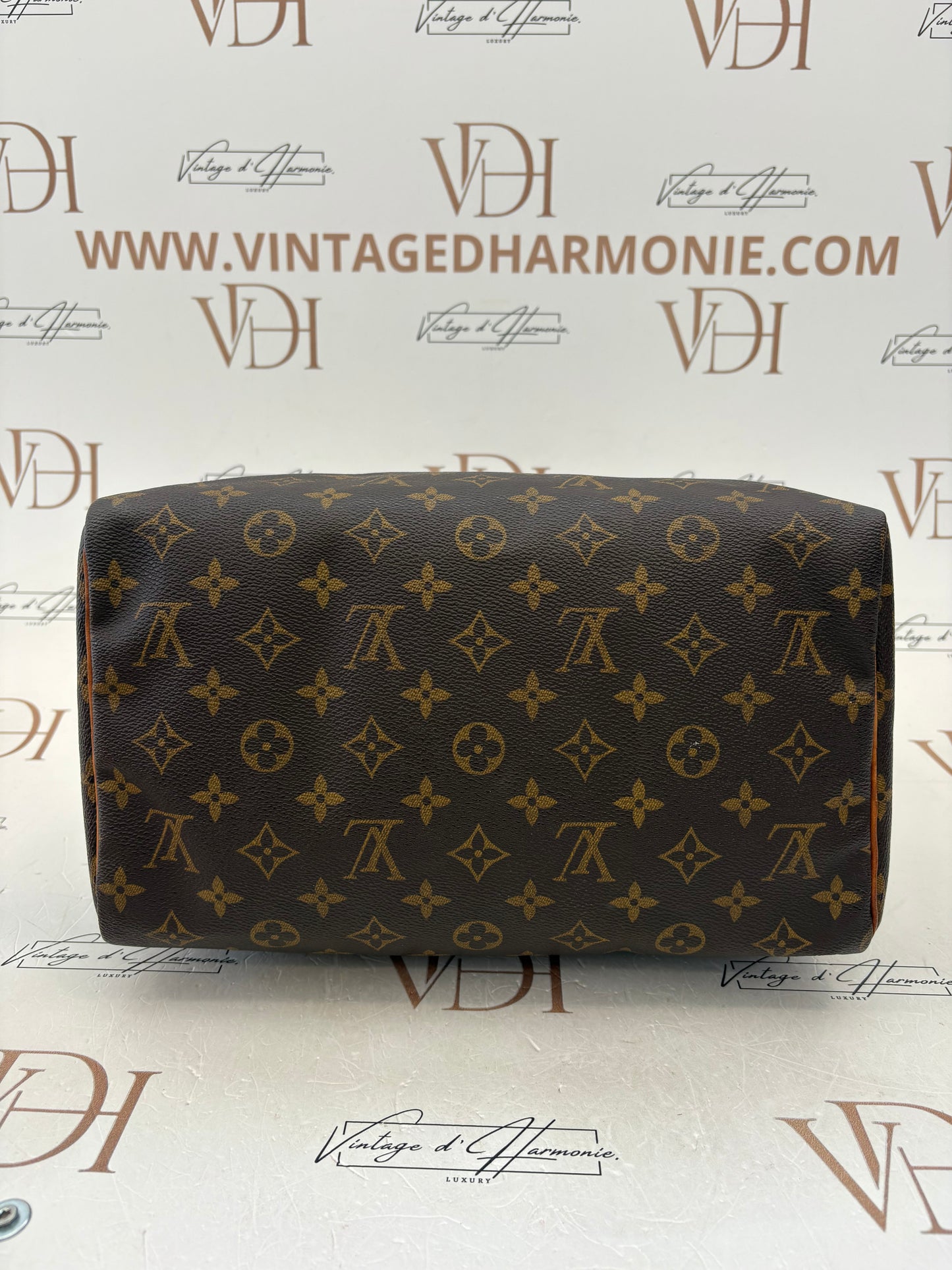 017653 - Louis Vuitton Speedy 30