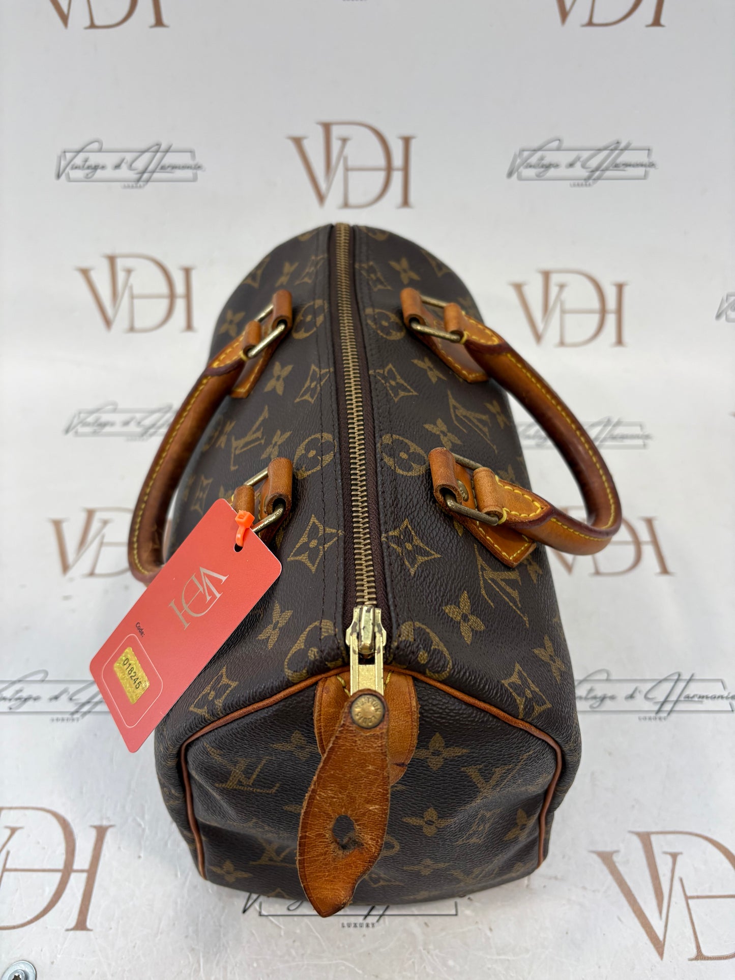 018245 - Louis Vuitton Speedy 25