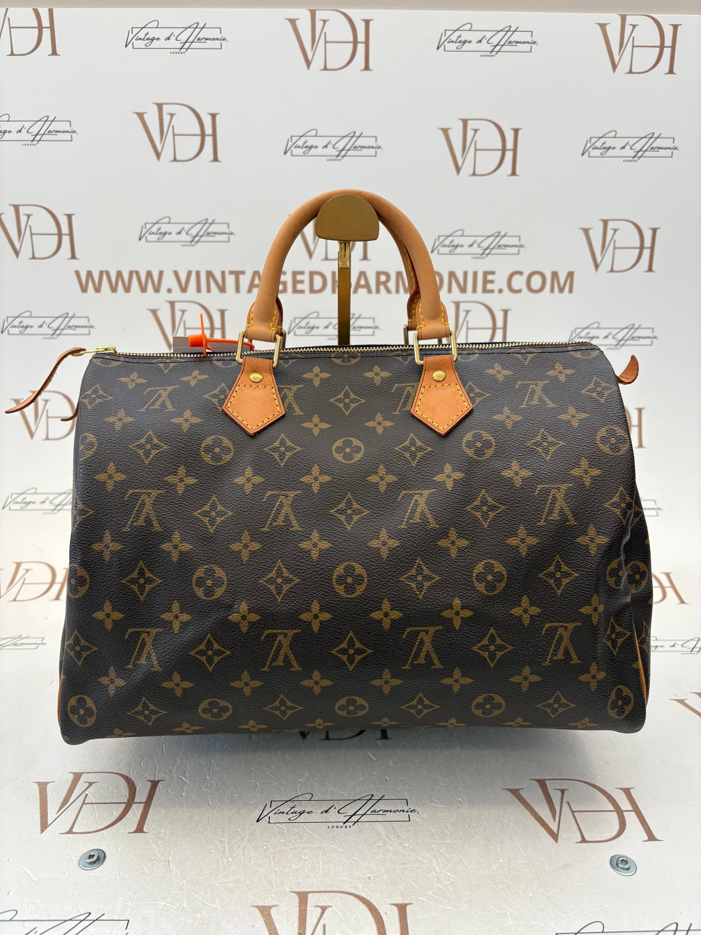 018794 - Louis Vuitton Speedy 35