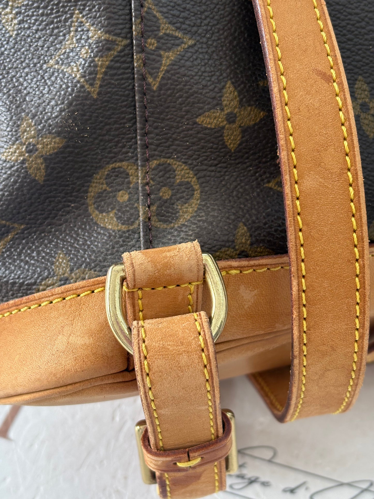 017173 - Louis Vuitton Montsouris MM