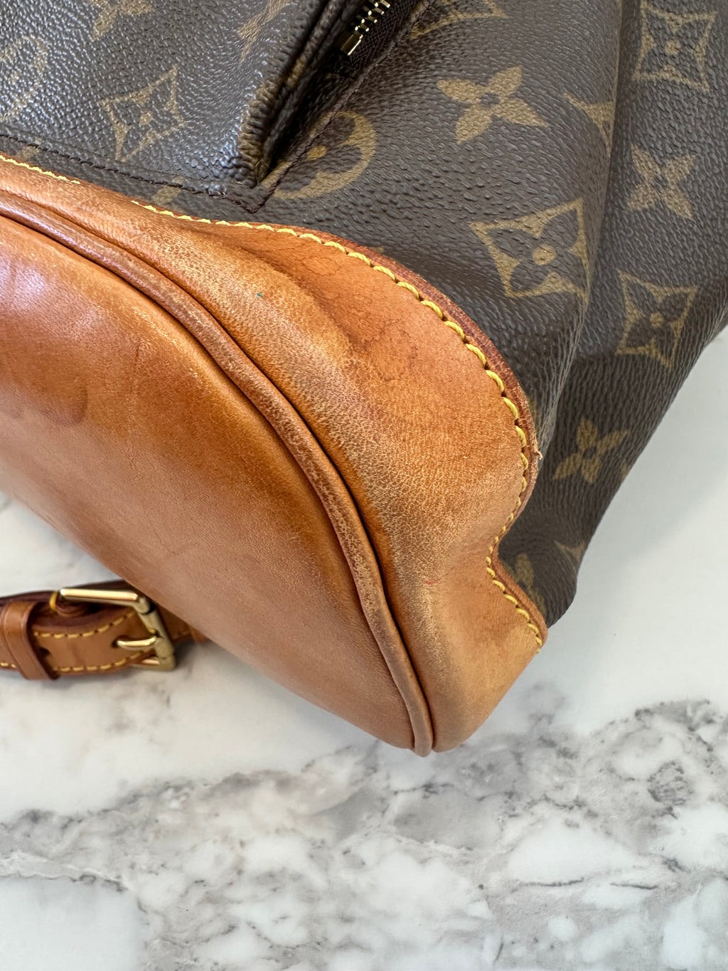 Louis Vuitton Montsouris MM