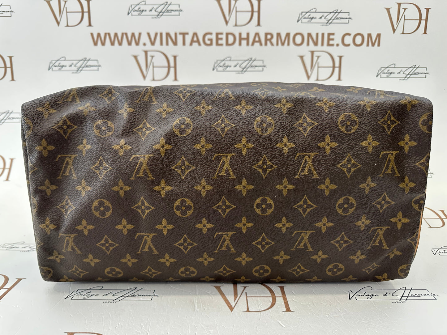 017909 - Louis Vuitton Speedy 40