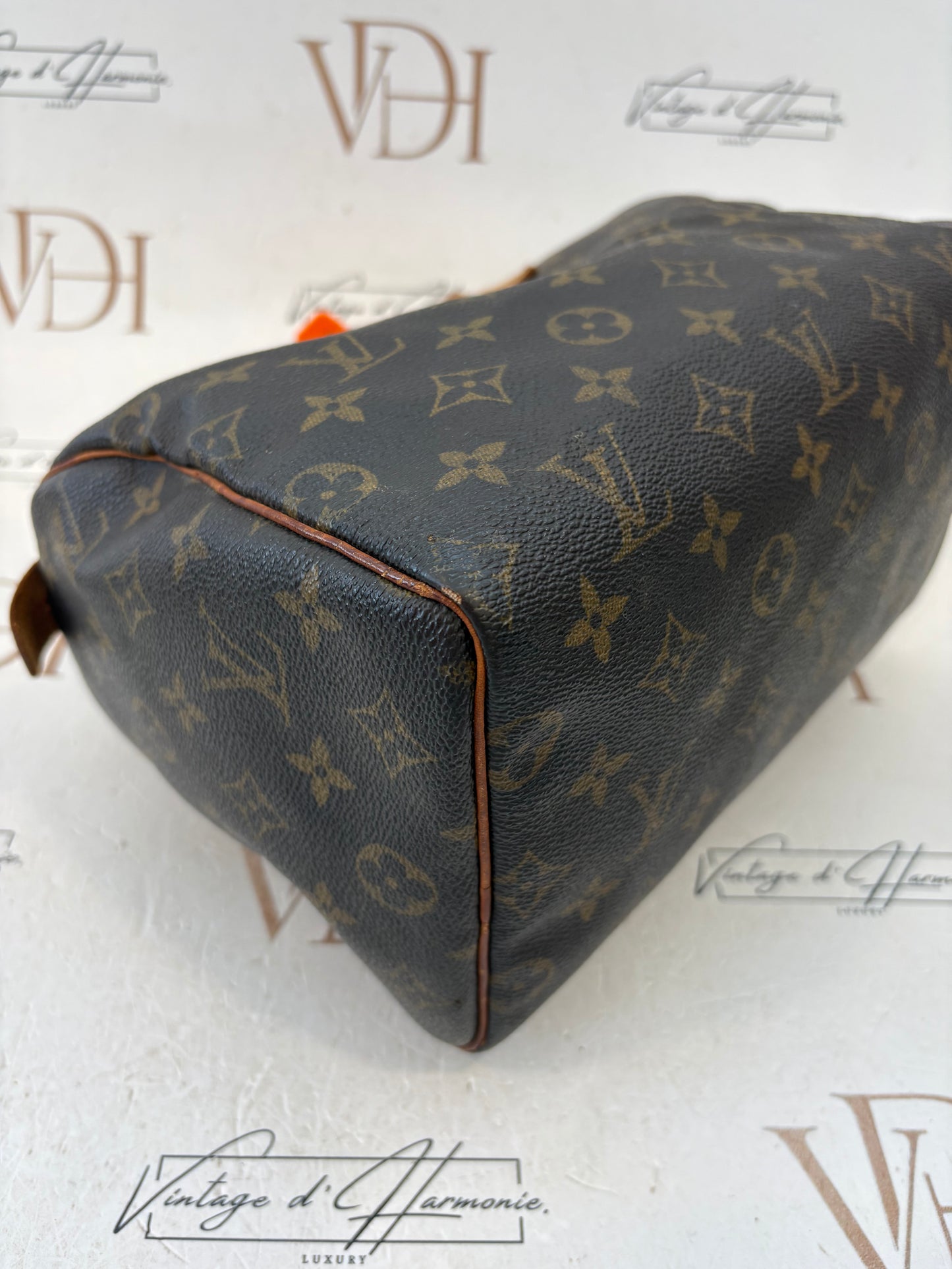 017317 - Louis Vuitton Speedy 25