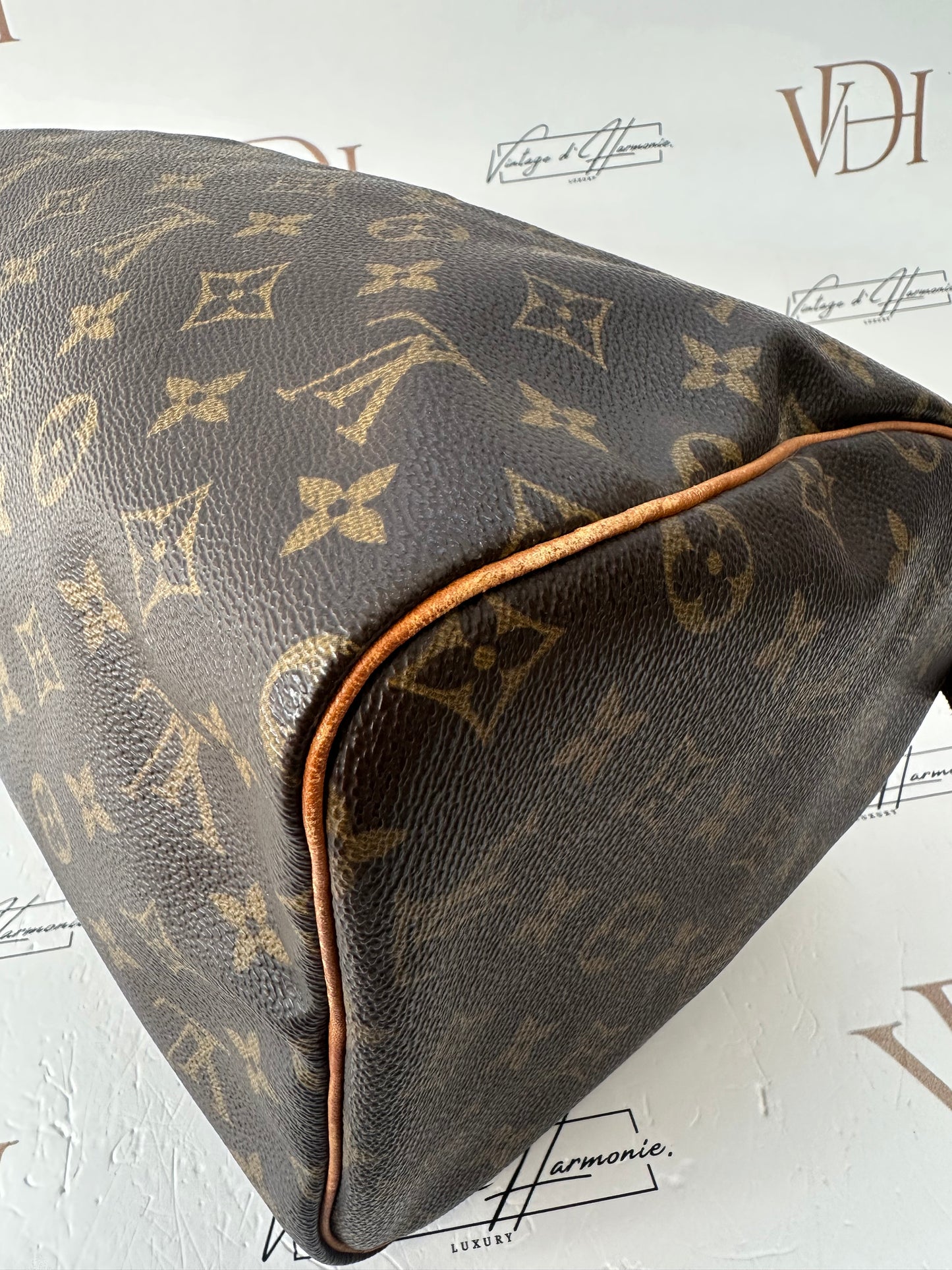 017847 - Louis Vuitton Speedy 30