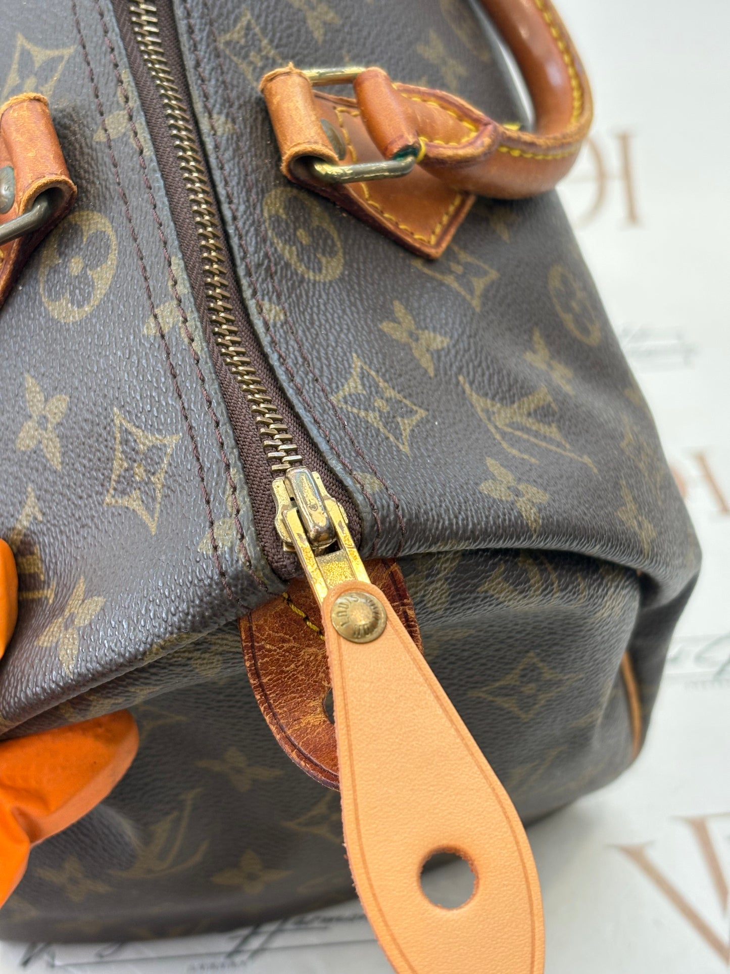 018801 - Louis Vuitton Speedy 30