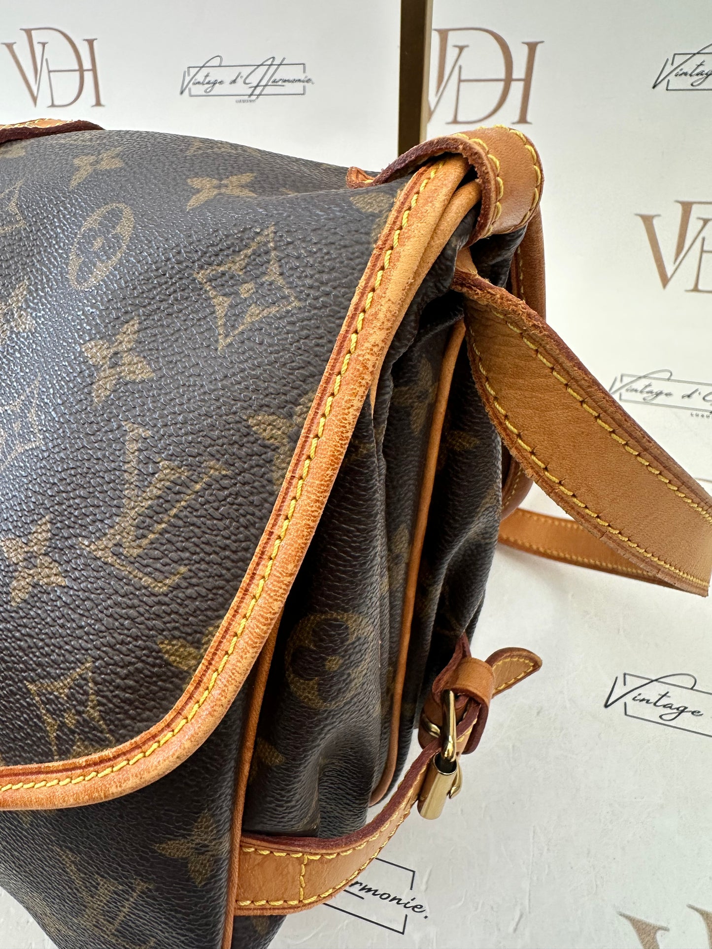 017887 - Louis Vuitton Saumur 30