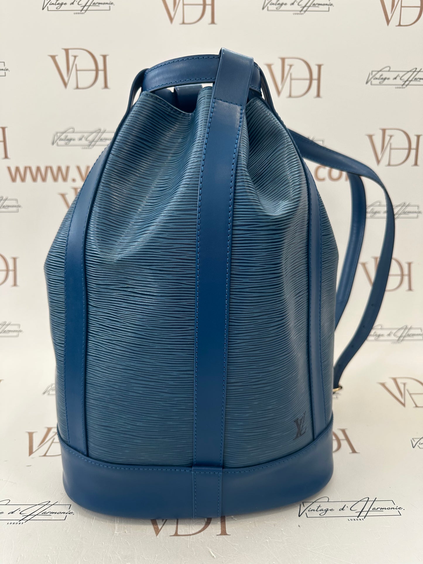 017969 - Louis Vuitton Randonne PM