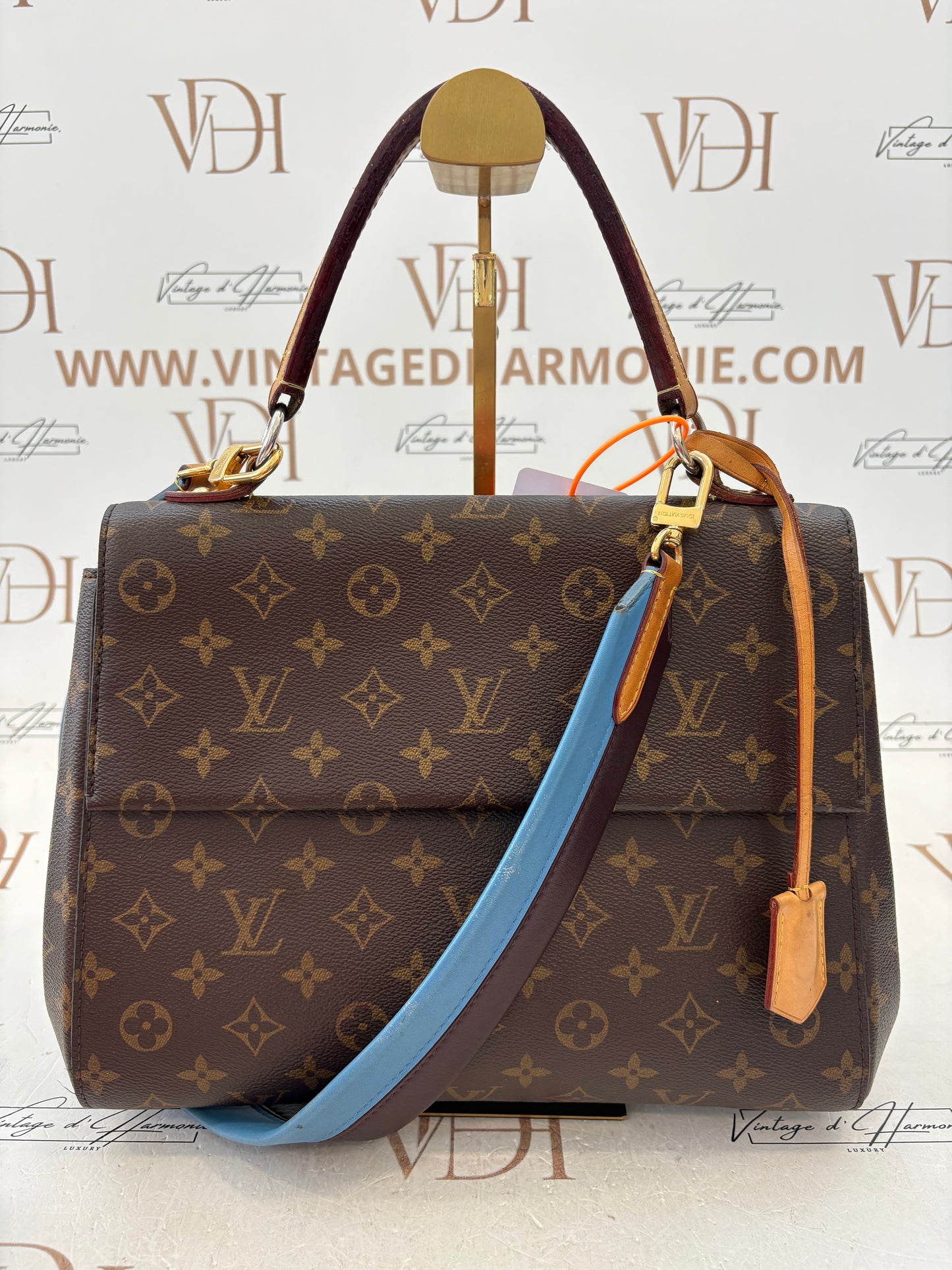 201387 - Louis Vuitton Cluny