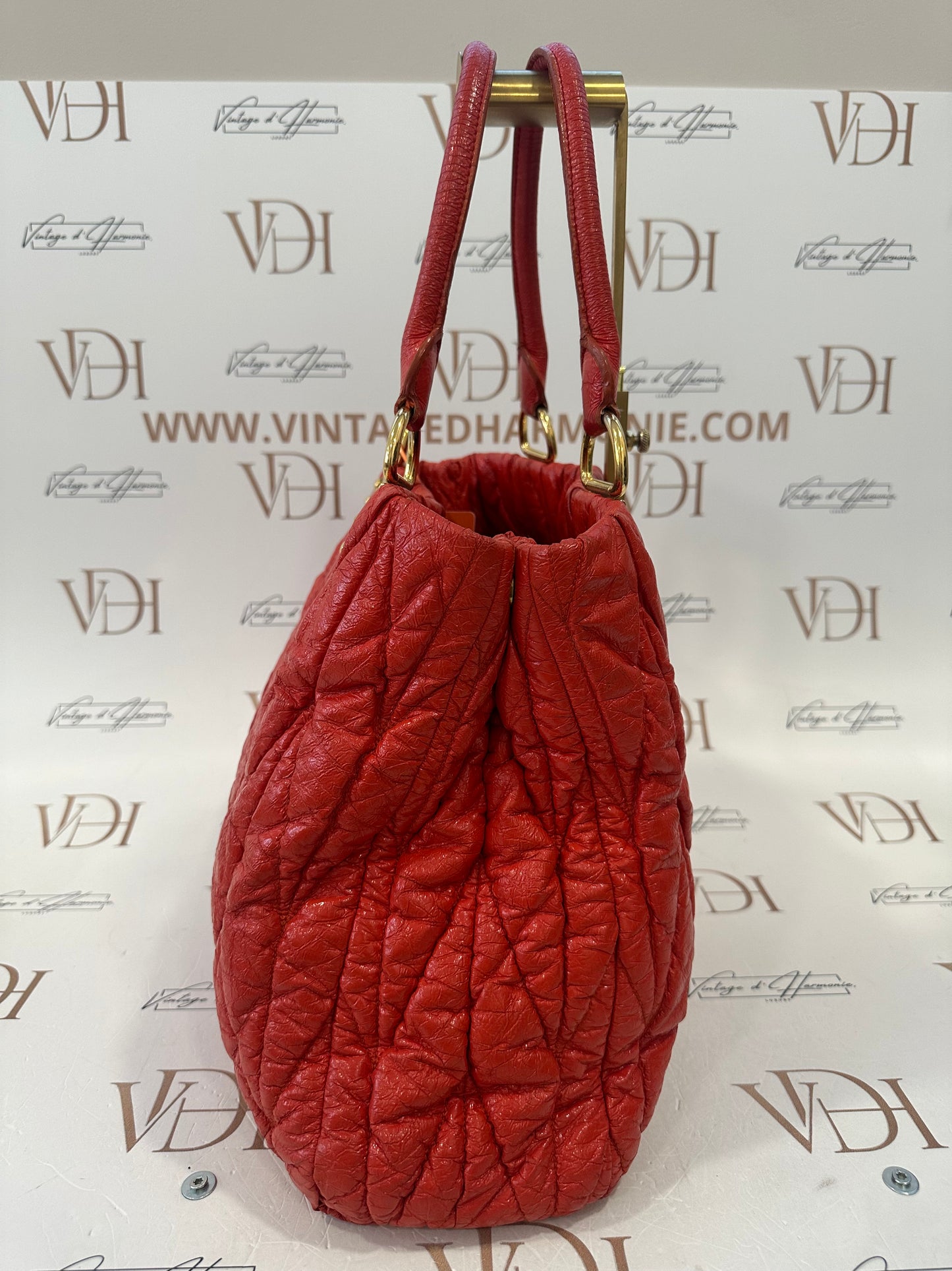 382664 - Miu Miu