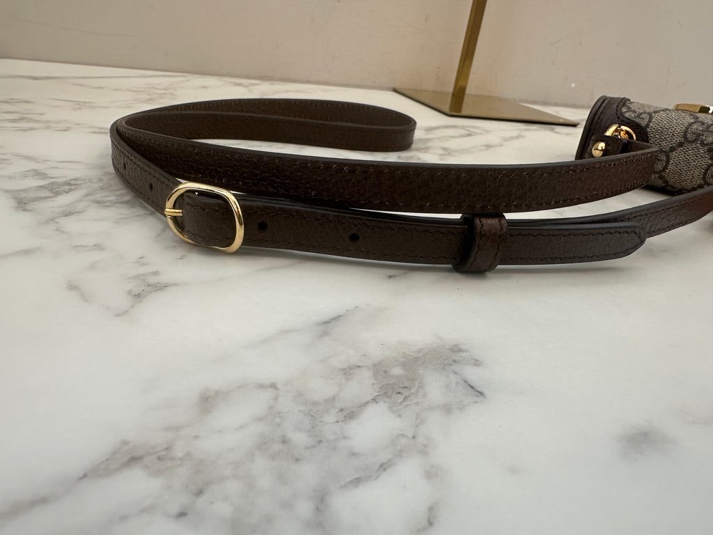 Gucci Brown GG Supreme Blondie