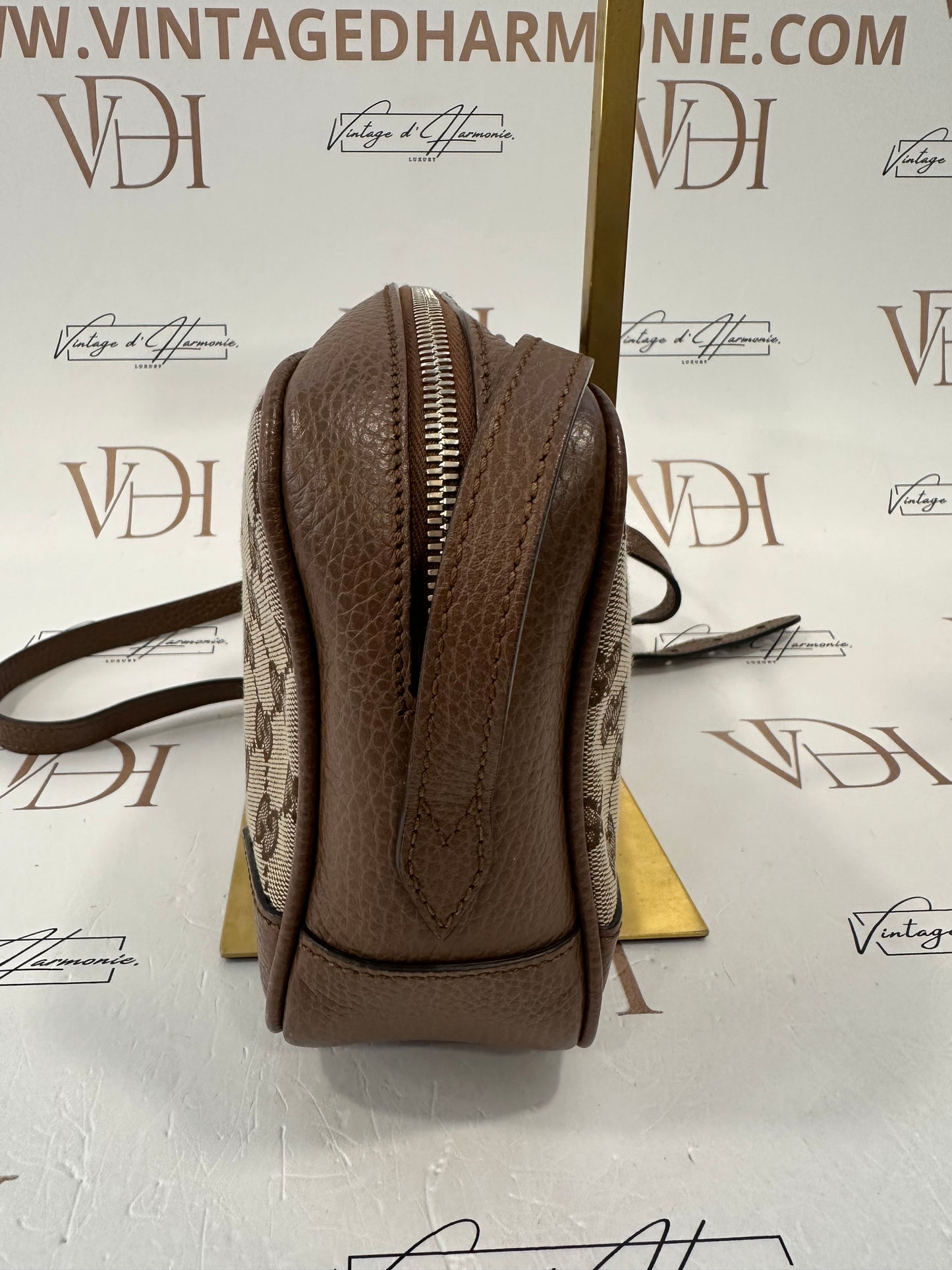 382881 - Gucci Bree