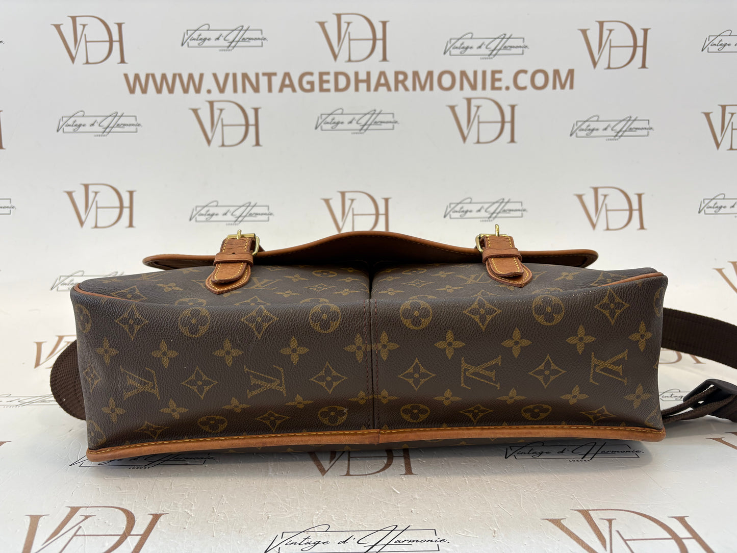 018720 - Louis Vuitton Gibeciere GM