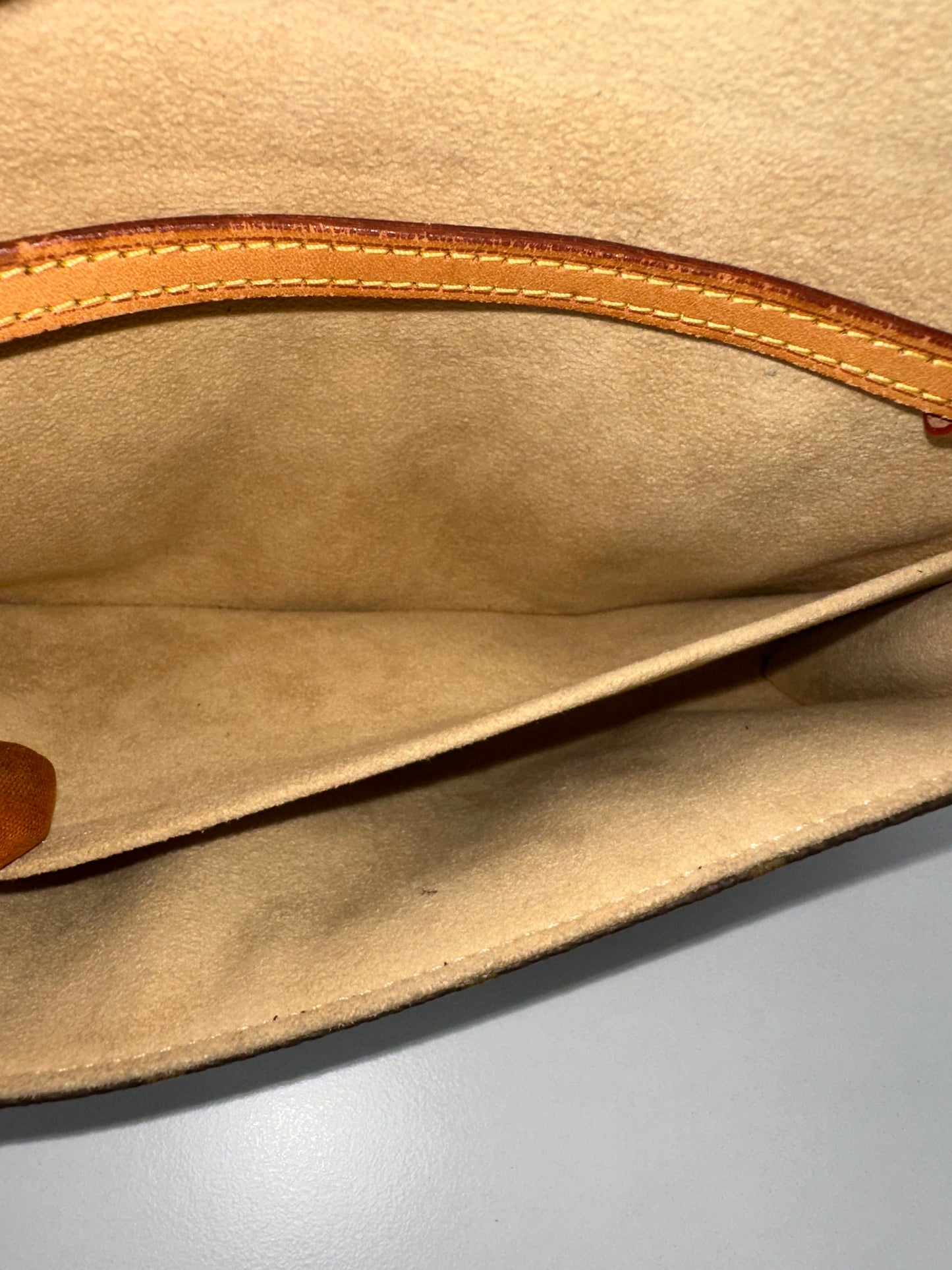 Louis Vuitton Pochette Twin GM