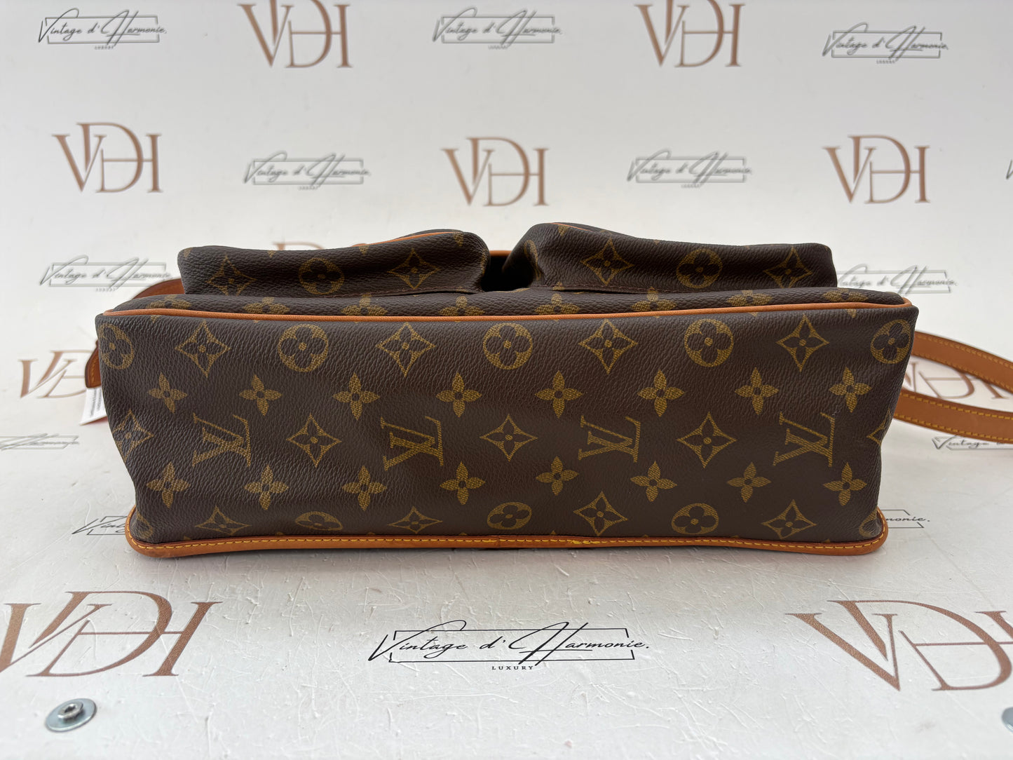 018966 - Louis Vuitton Gibeciere