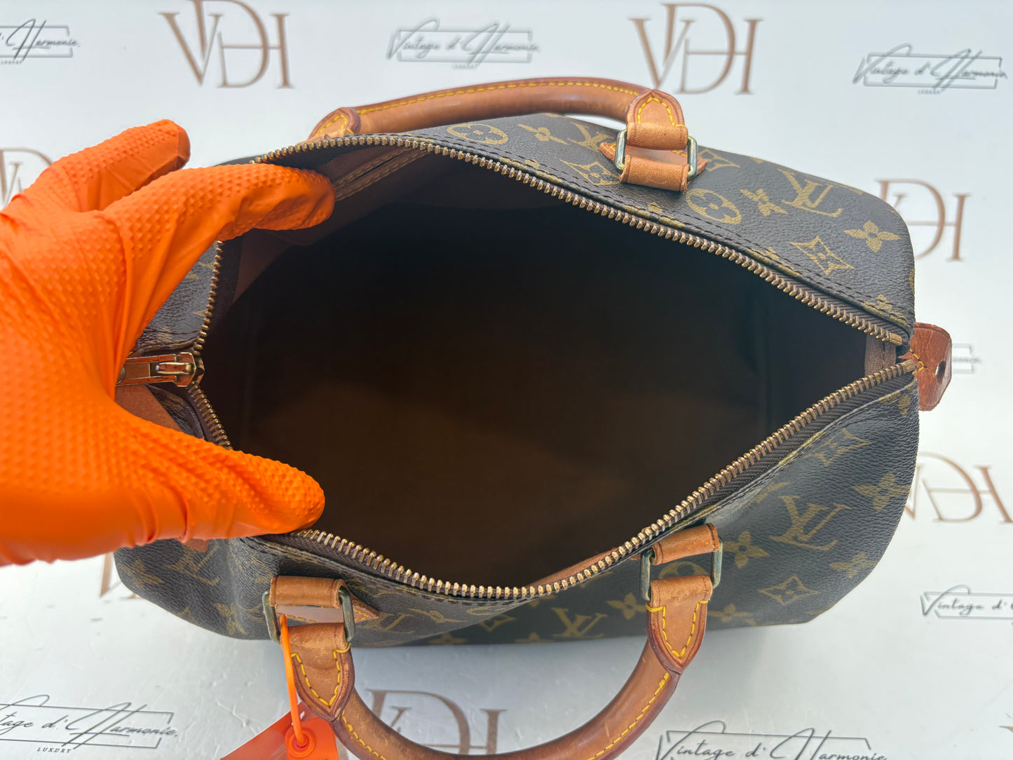 018907 - Louis Vuitton Speedy 30