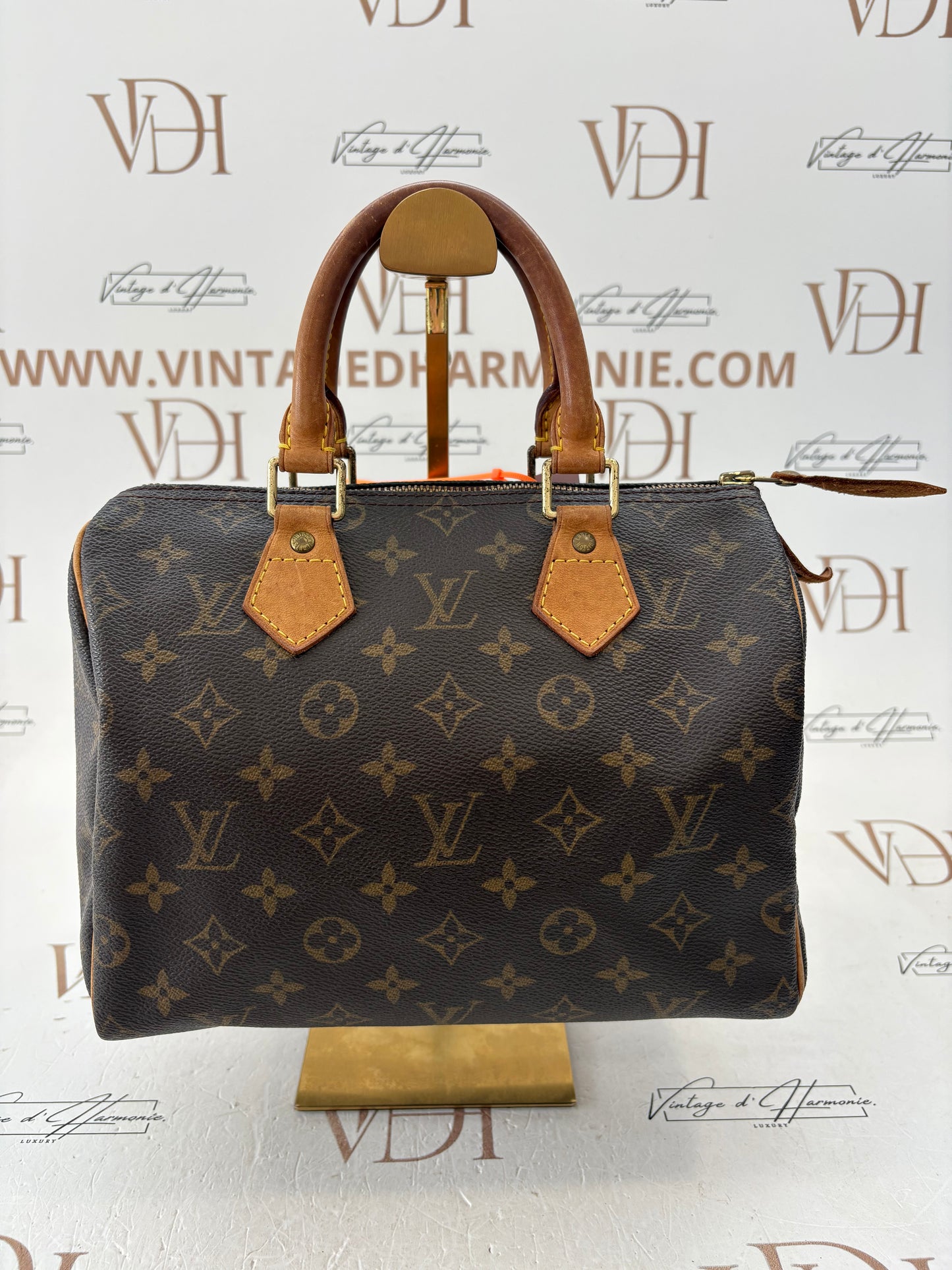 018244 - Louis Vuitton Speedy 25