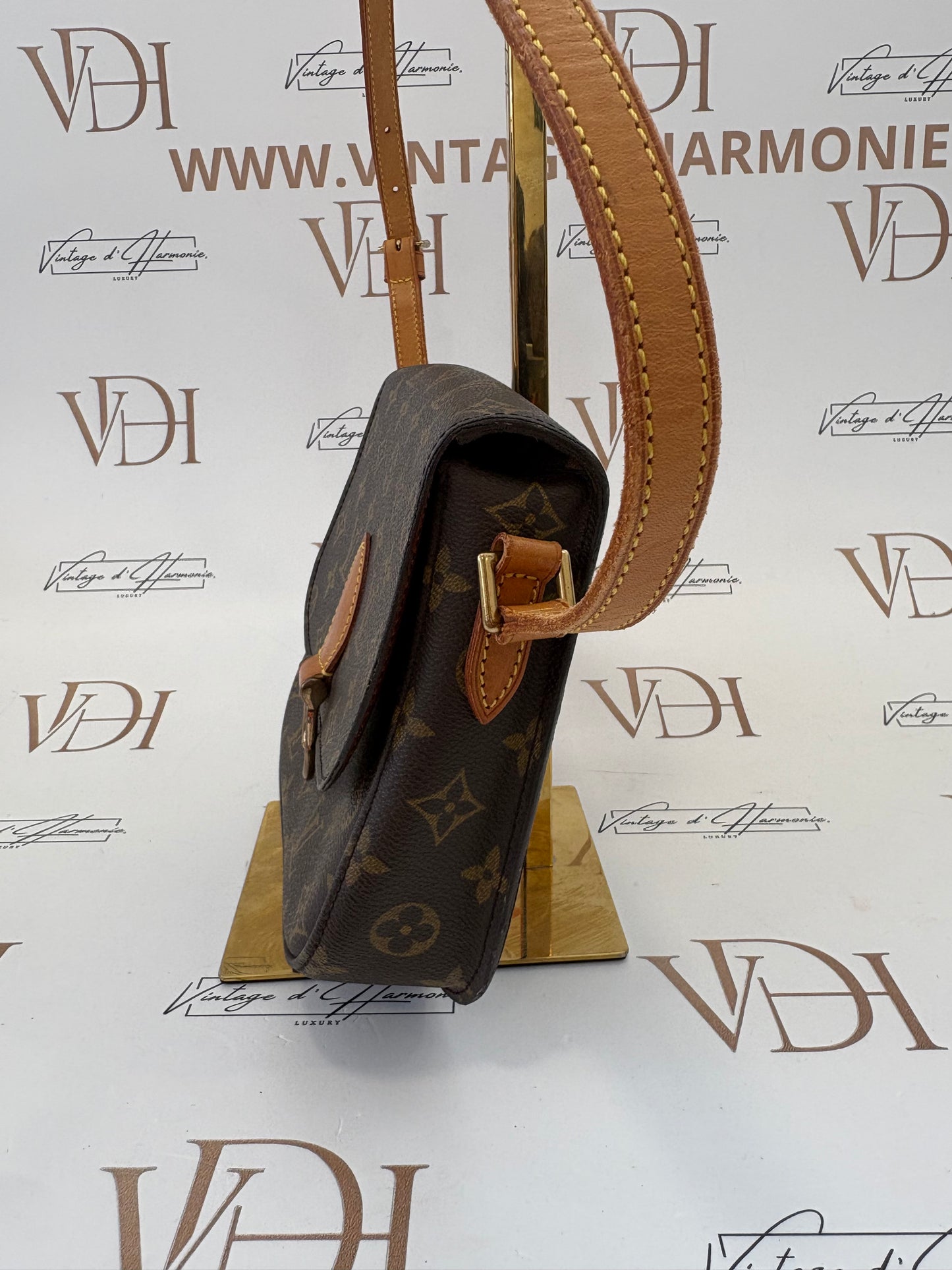 018936- Louis Vuitton Sain T cloud MM