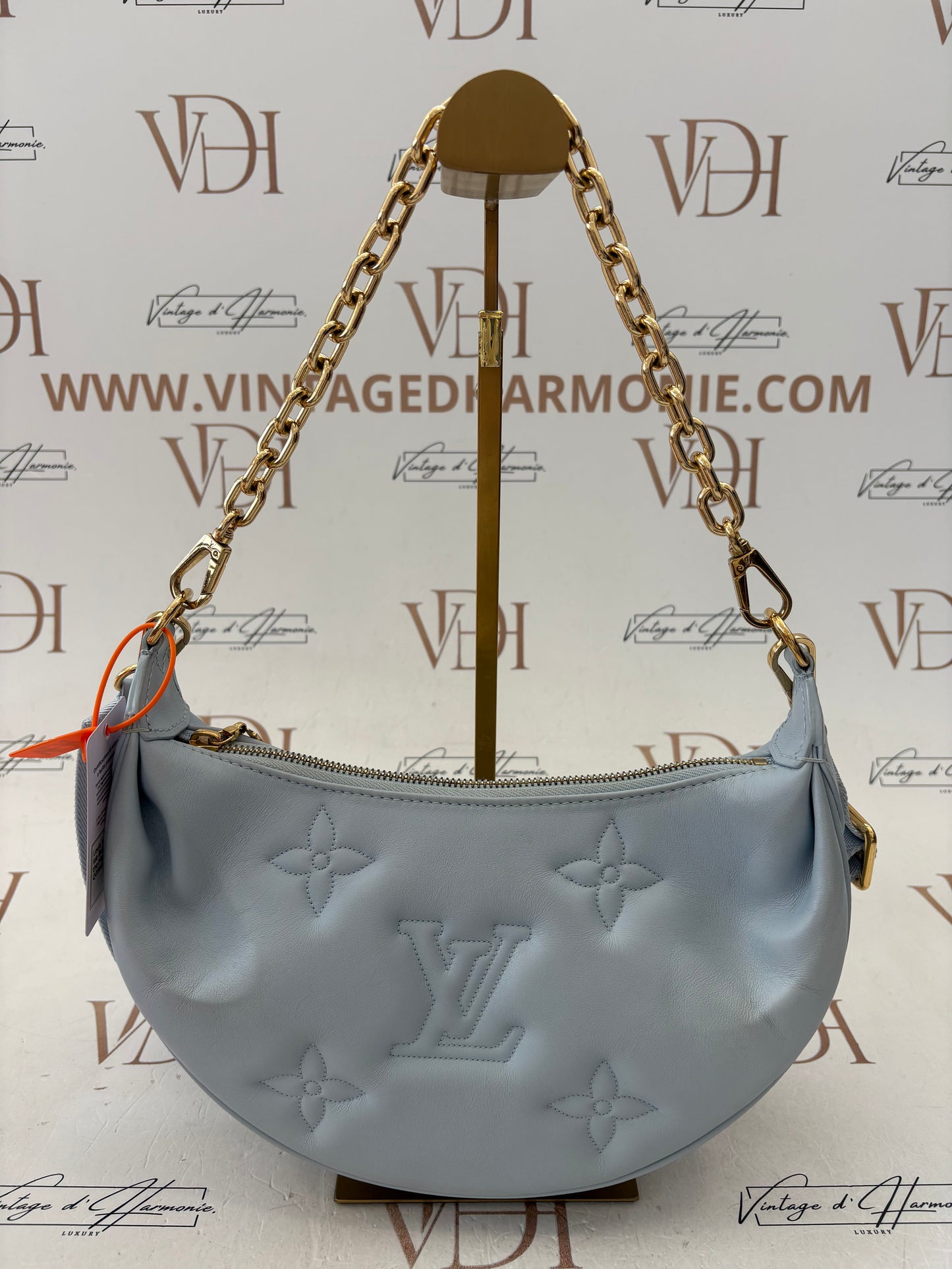 018554 - Louis Vuitton Light Blue Bubblegram Over The Moon