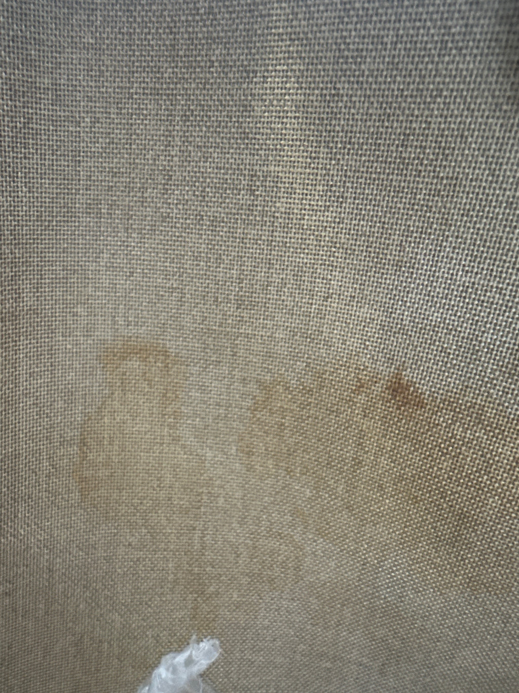 Gucci Brown