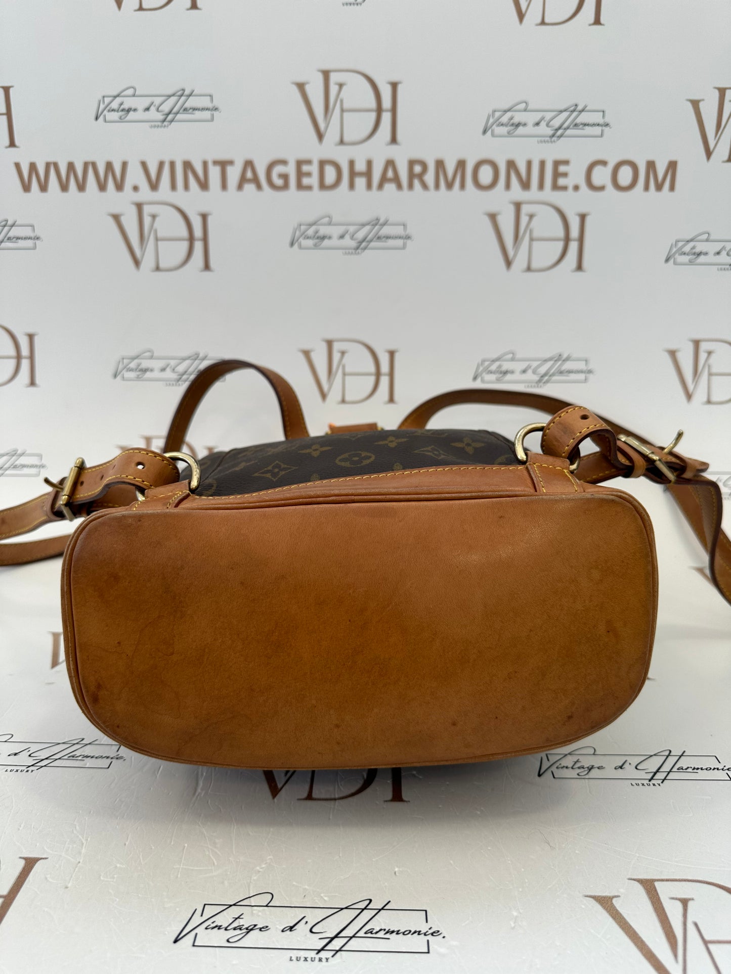 017767 - Louis Vuitton Montsouris MM