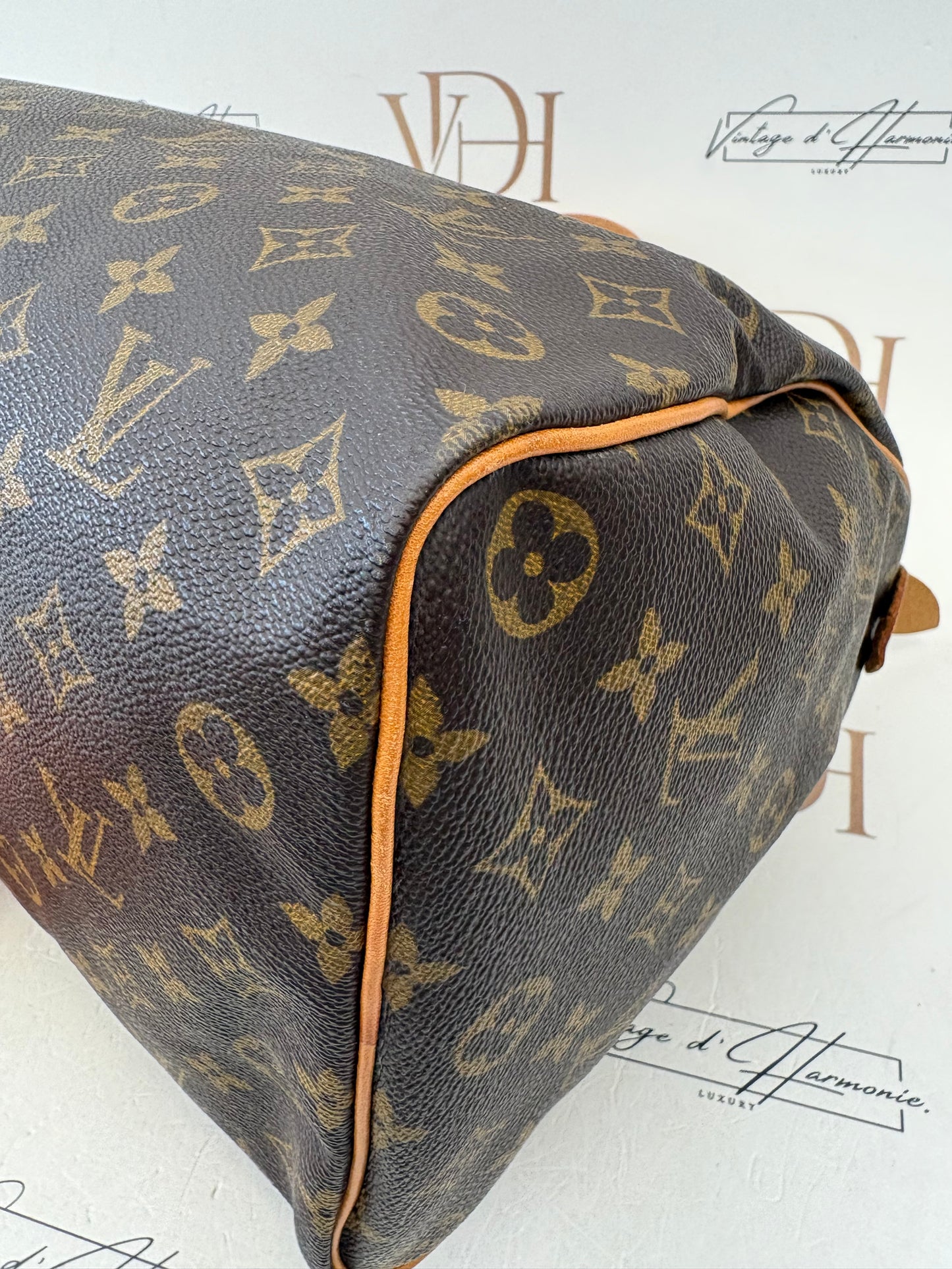 017703 - Louis Vuitton Speedy 35