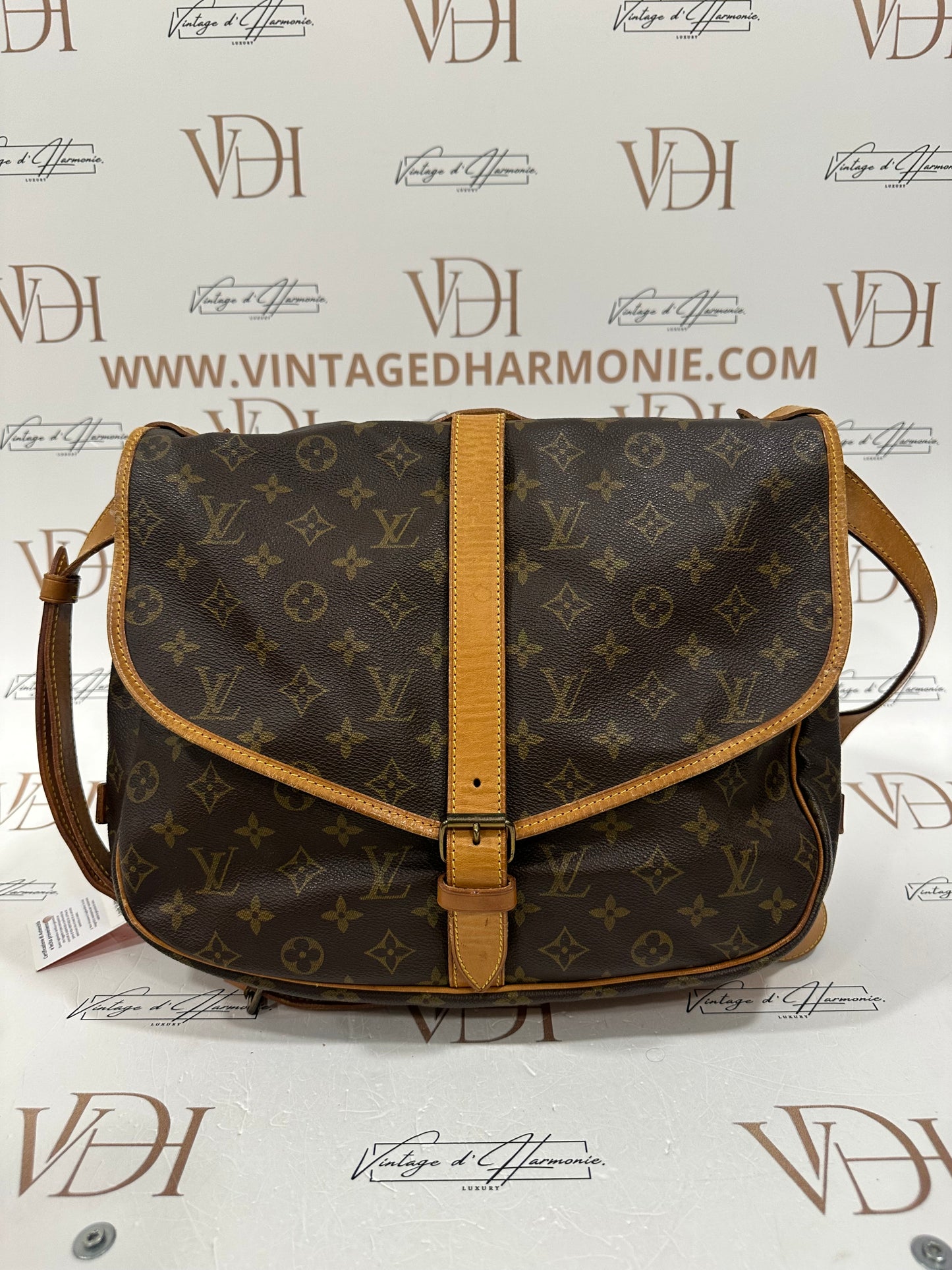 016862 - Louis Vuitton Saumur 35